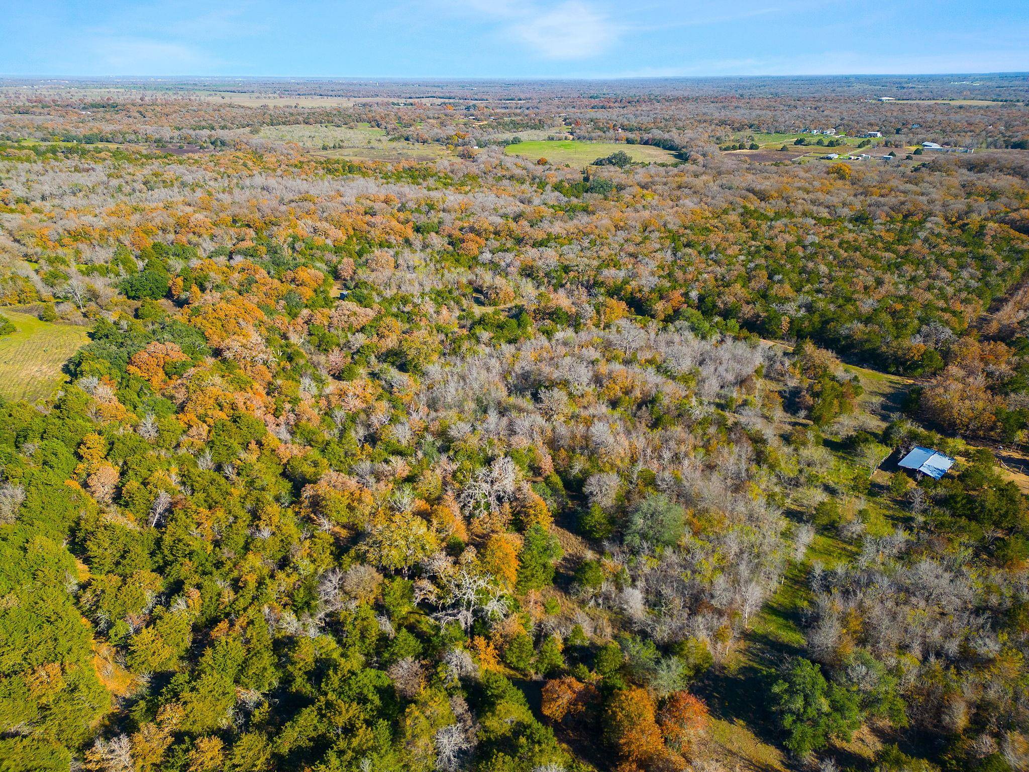 272 Deadwood RD, Cedar Creek, TX 78621