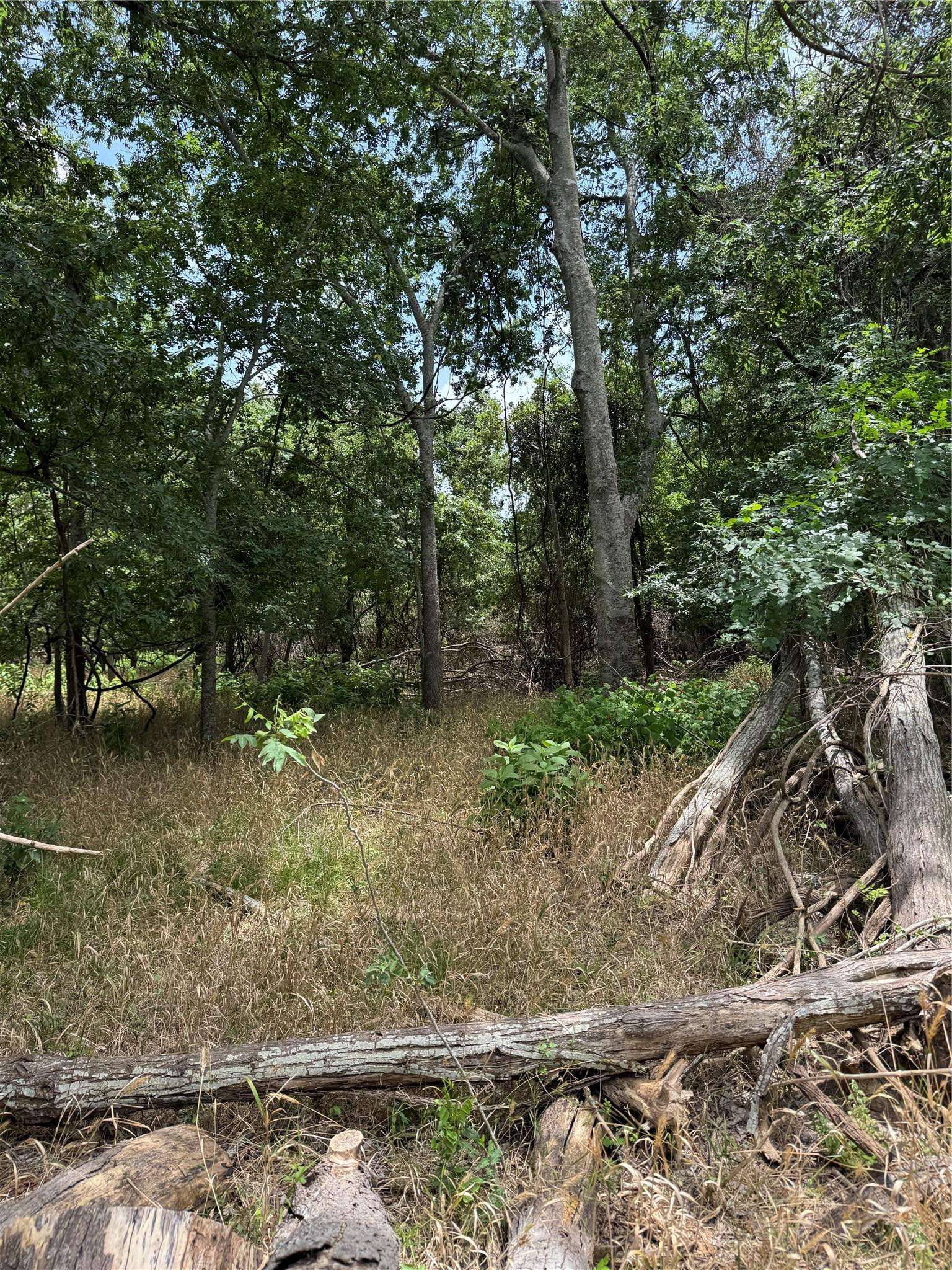 Lot 904 Kahana LN, Bastrop, TX 78602