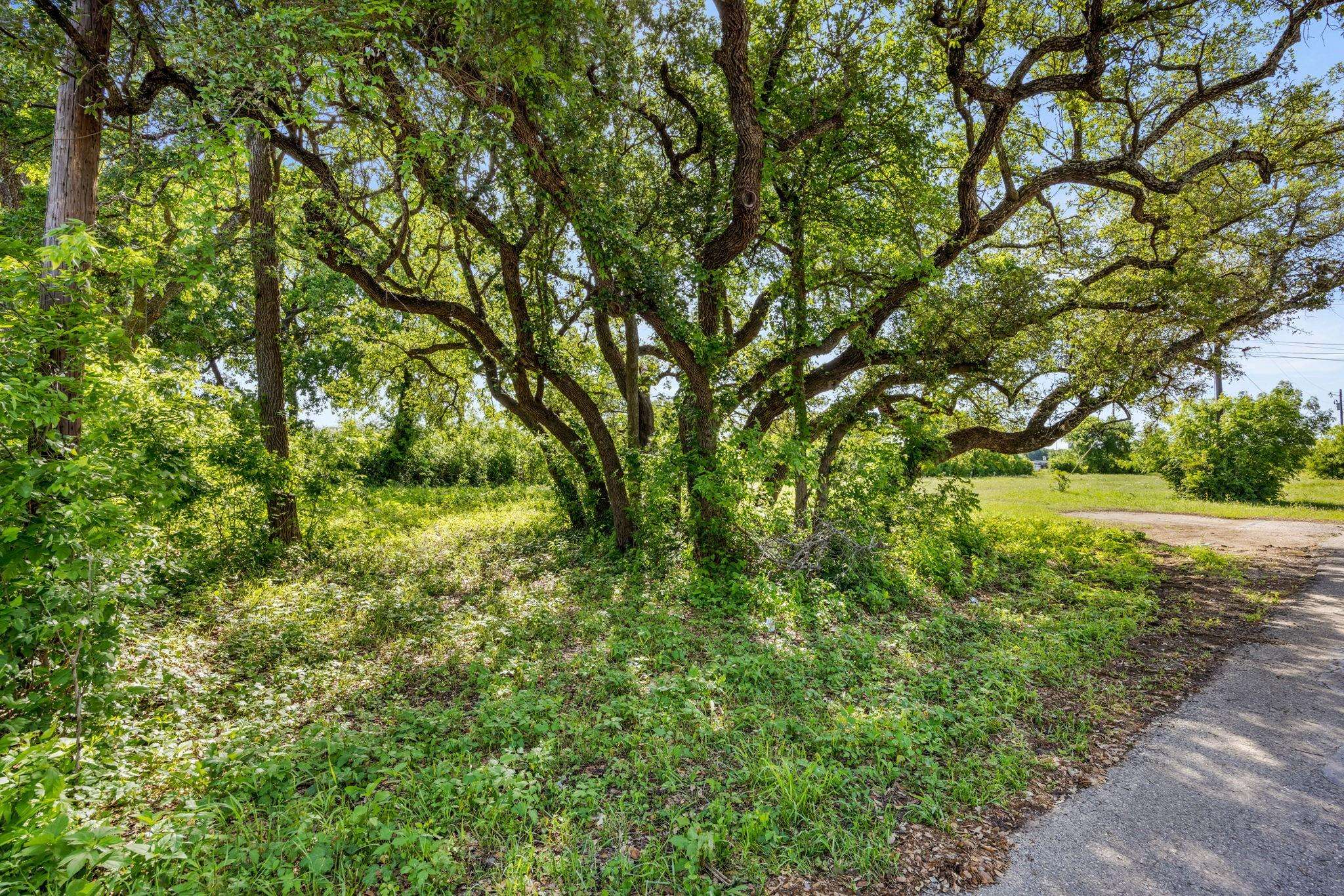 2704 Poplar LN, Cedar Park, TX 78613