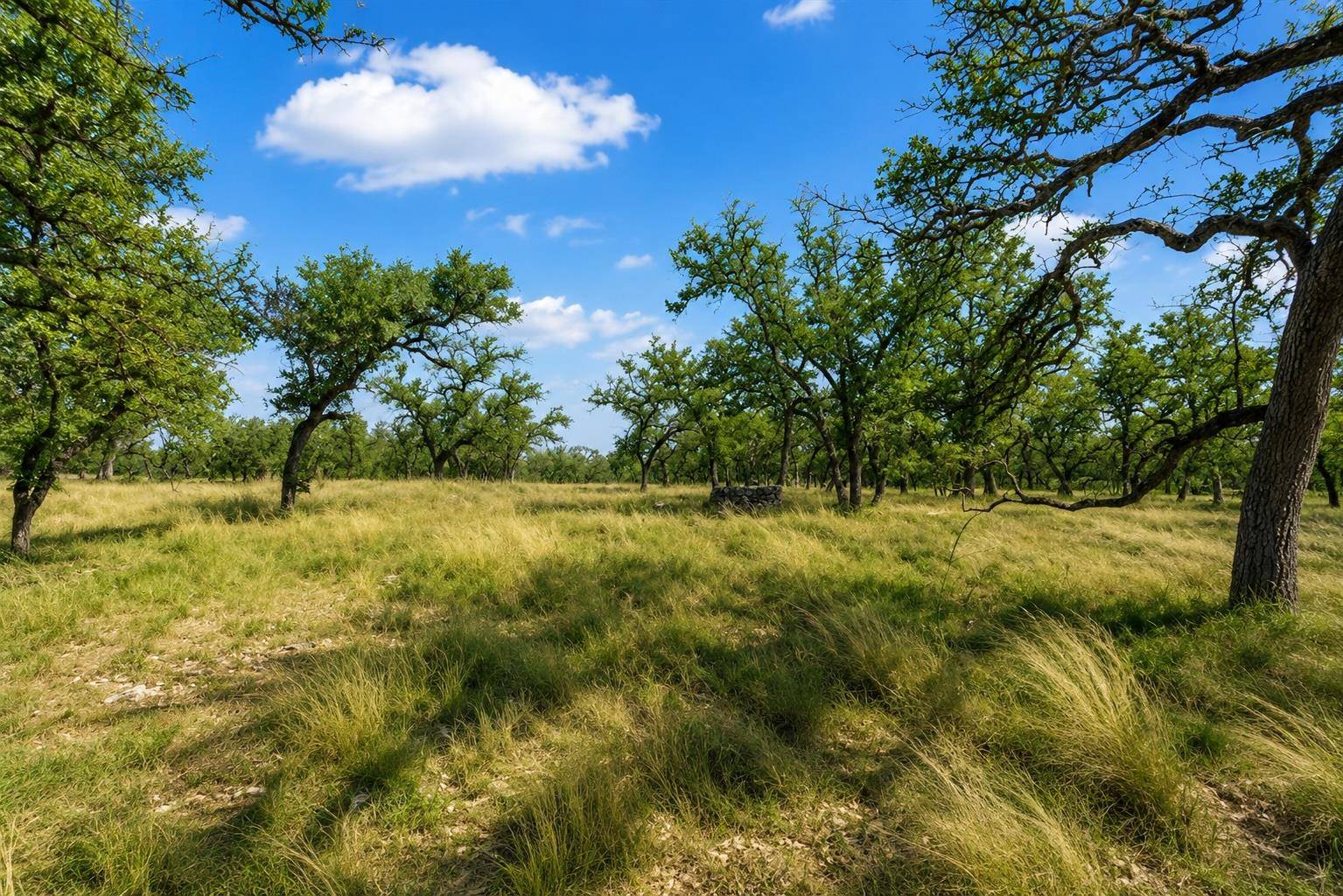 Lot 9 Silas TRL, Fredericksburg, TX 78624