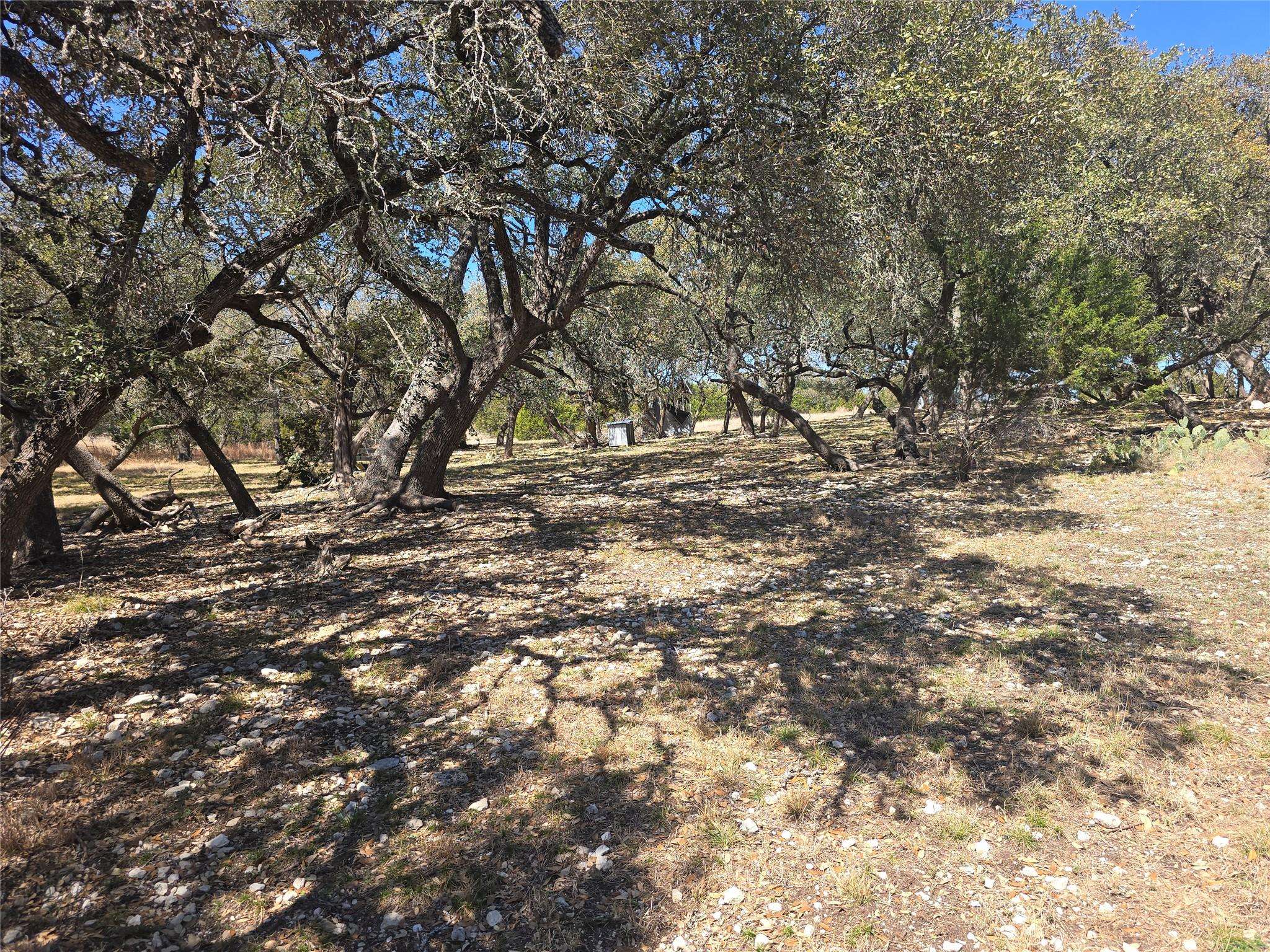 230 Bush Bok DR, Burnet, TX 78611