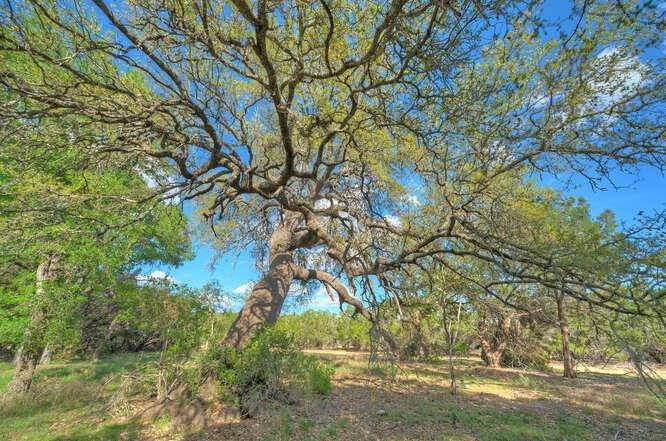Star Gazer Lot 8 Stargazer DR, Lampasas, TX 76550