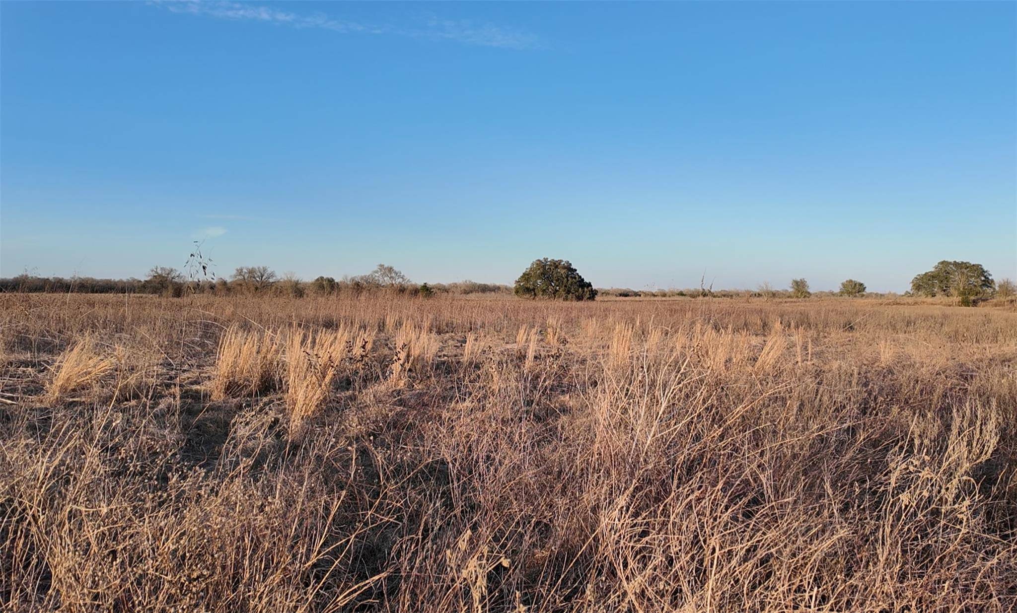 TBD (Tract 5) CR 119, Ledbetter, TX 78946