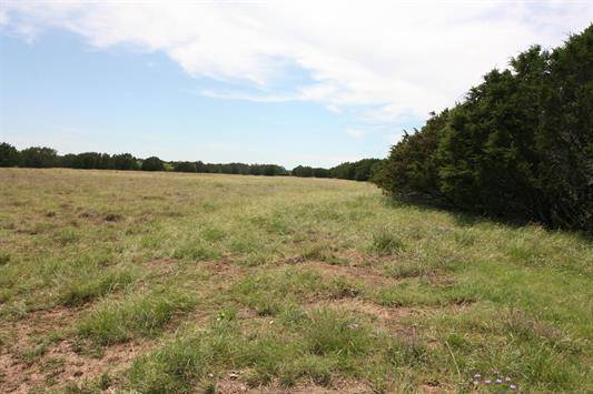 1115 Tract 4 - County Road 204, Burnet, TX 78611