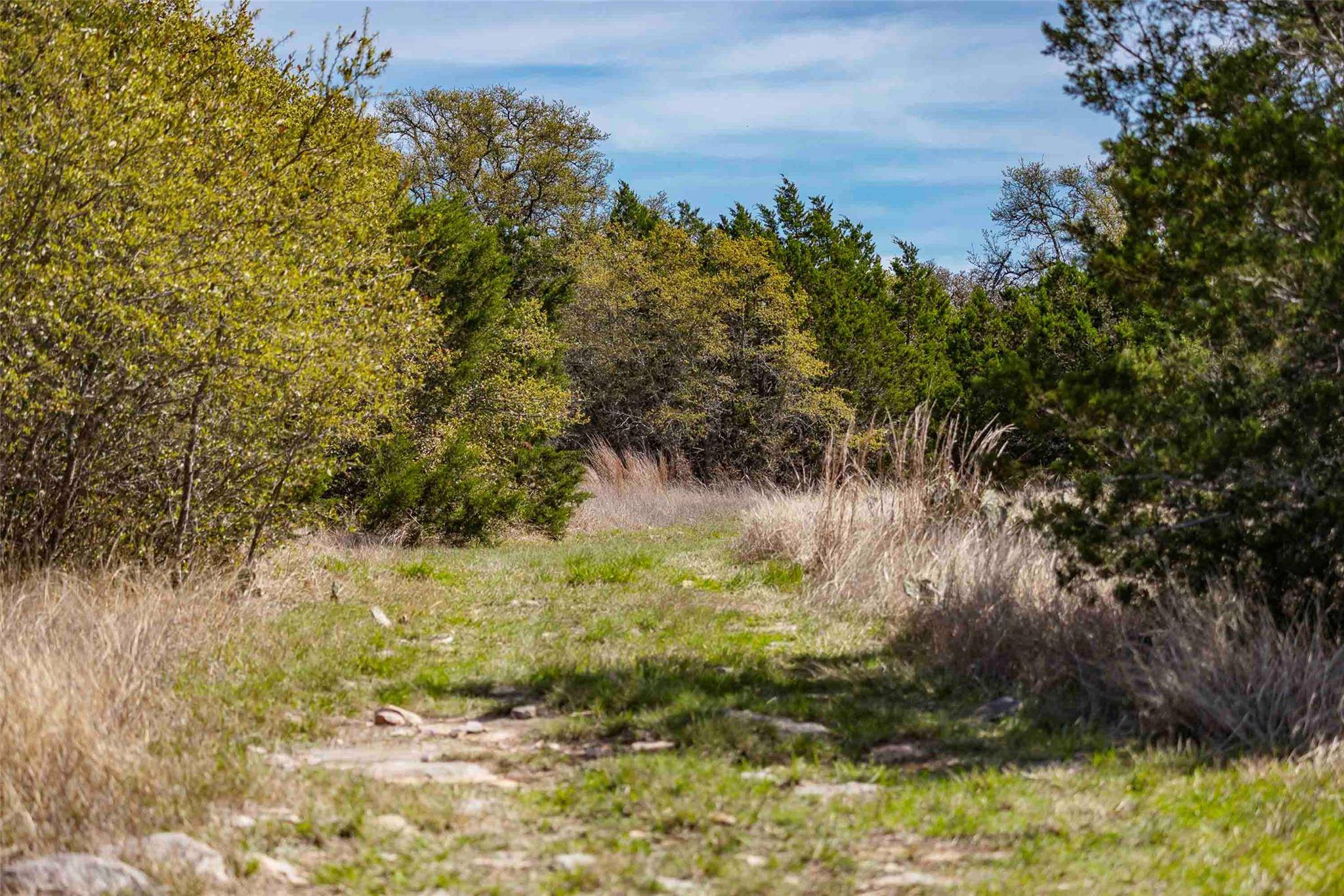 TBD Saddle Ridge DR, Bertram, TX 78605