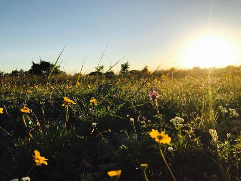 Lot 158 Sierra DR, Bertram, TX 78605