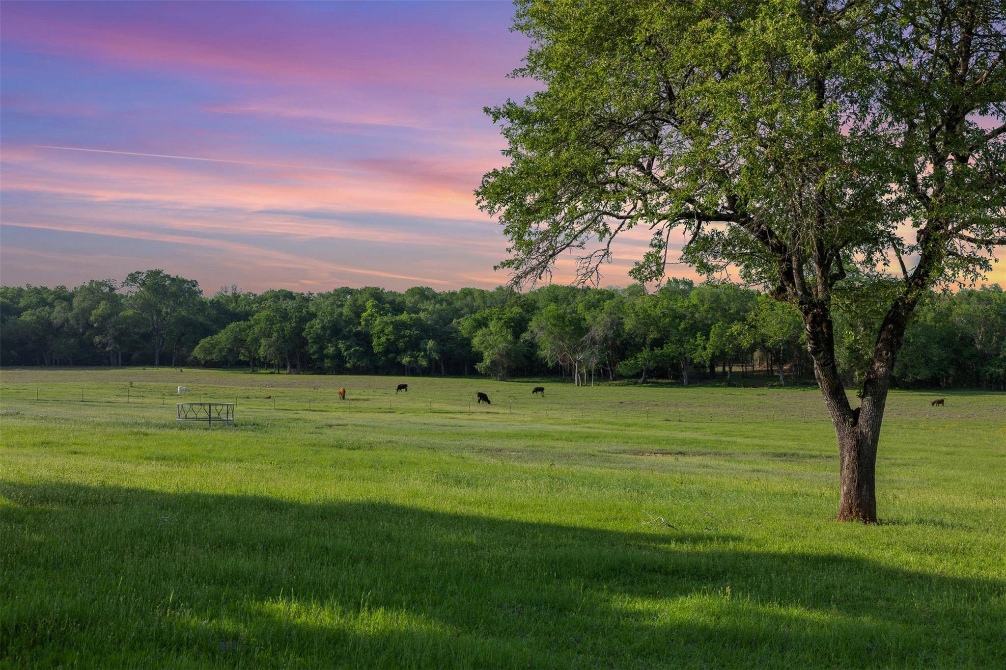3004 County Road 310, Caldwell, TX 77836