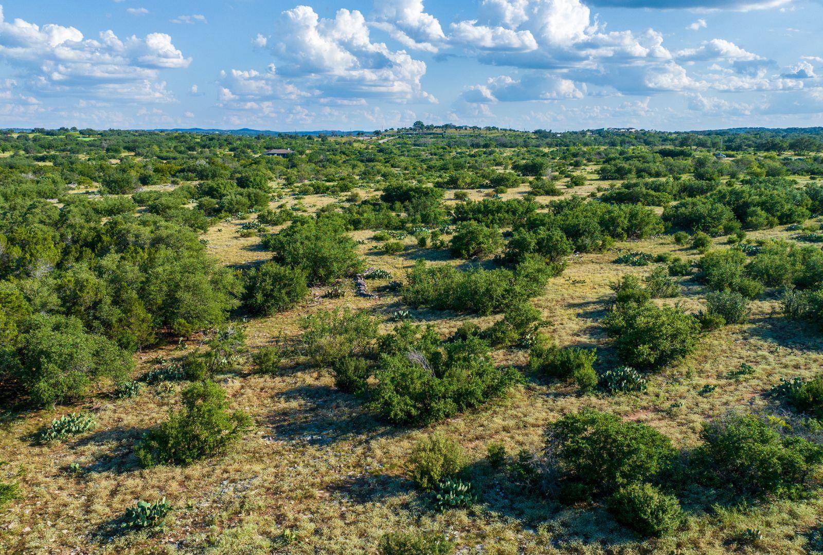 Address not disclosed, Spicewood, TX 78669