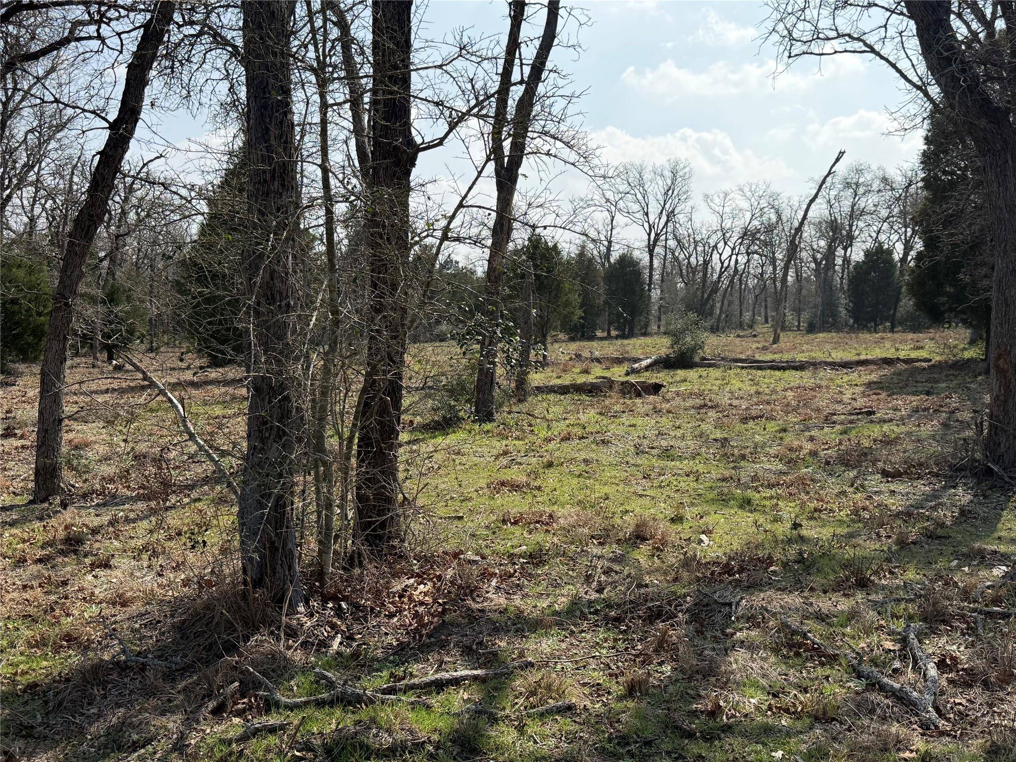 TBD N County Line RD, Elgin, TX 78621