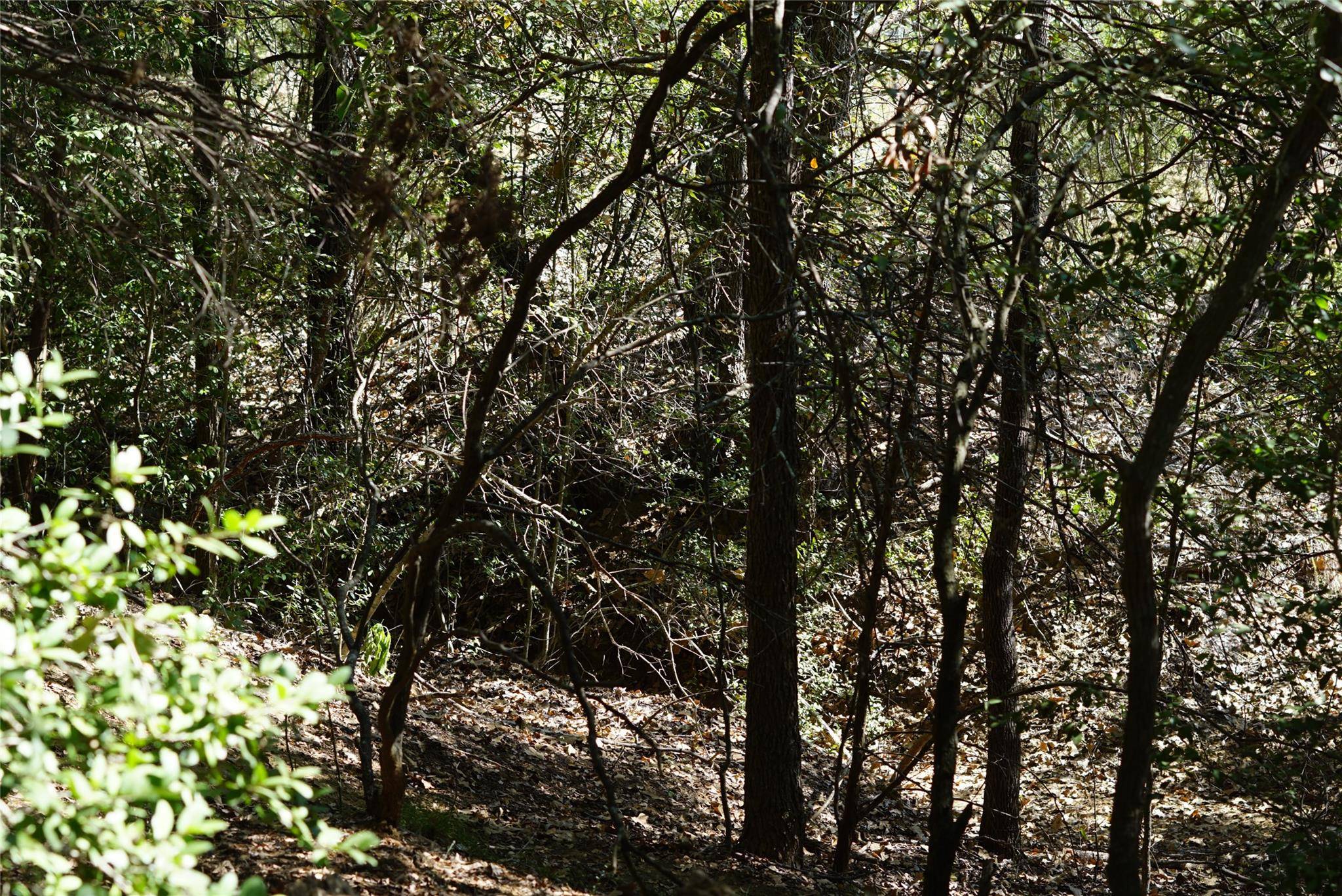 1135 Private Road 7039, Lexington, TX 78947