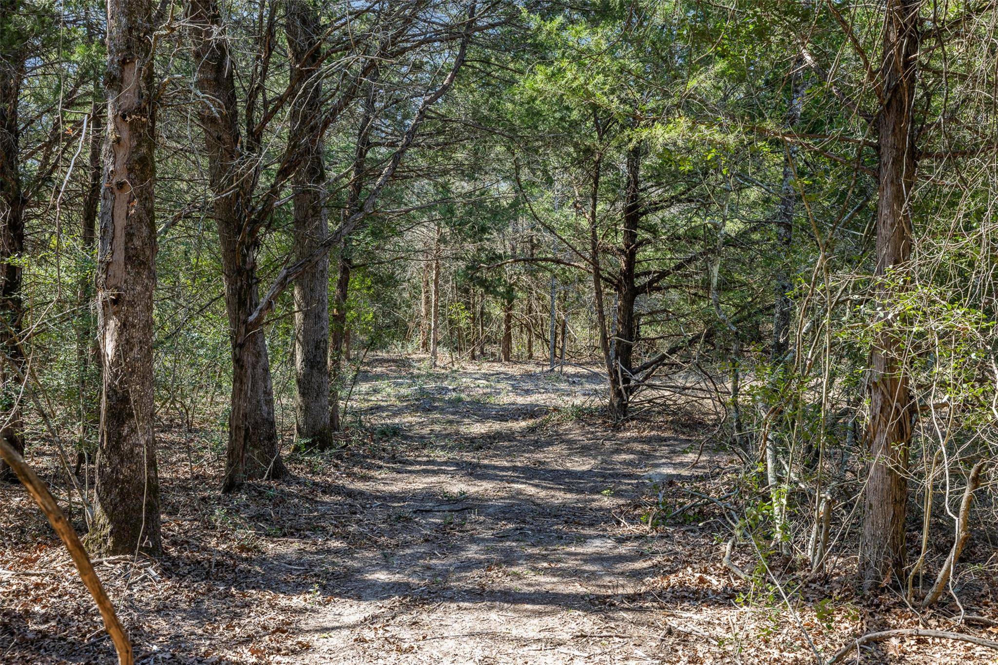 Lot 2 (4.81 Acres) Pauline LN, Caldwell, TX 77836