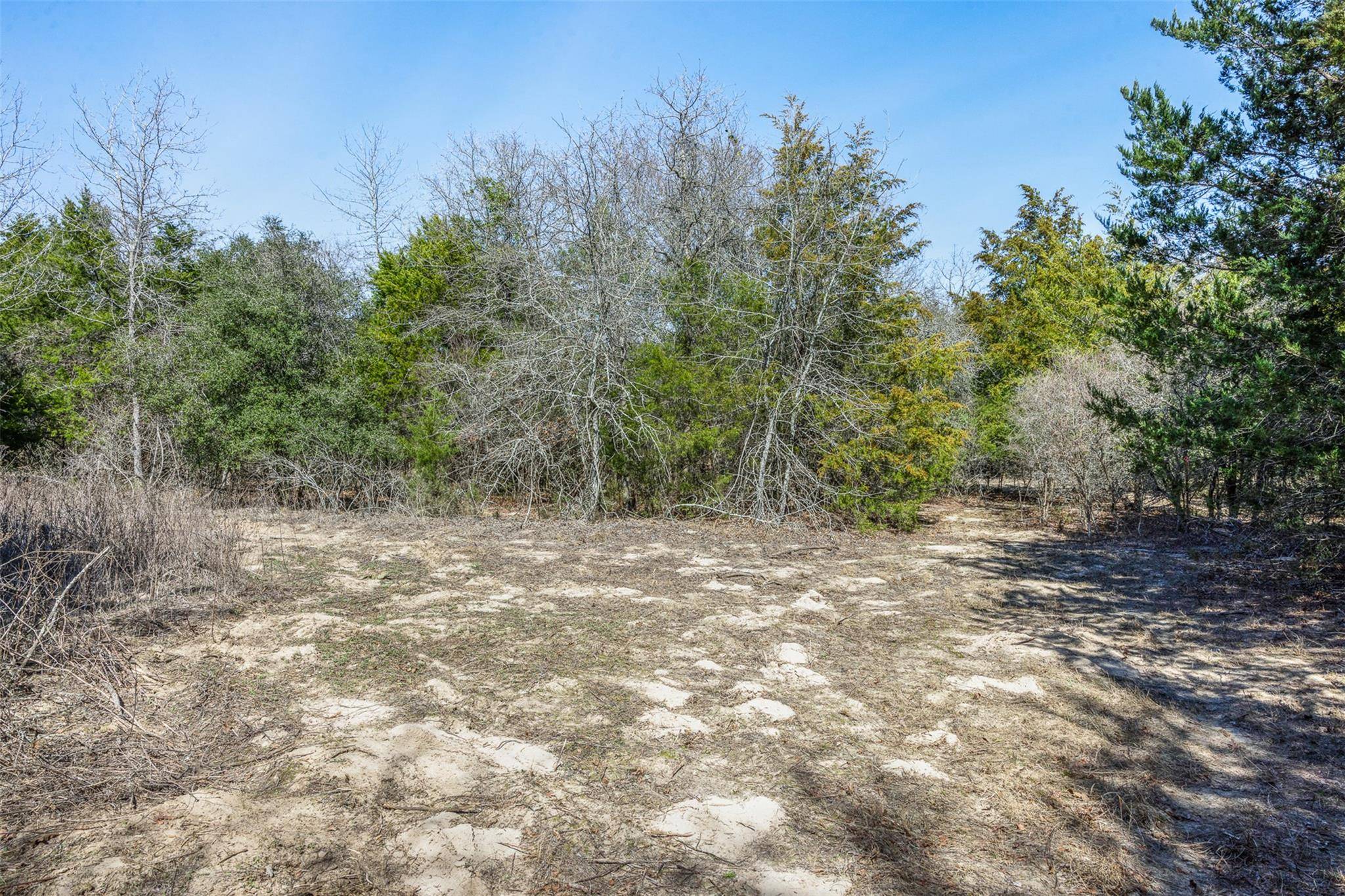 Lot 2 (4.81 Acres) Pauline LN, Caldwell, TX 77836