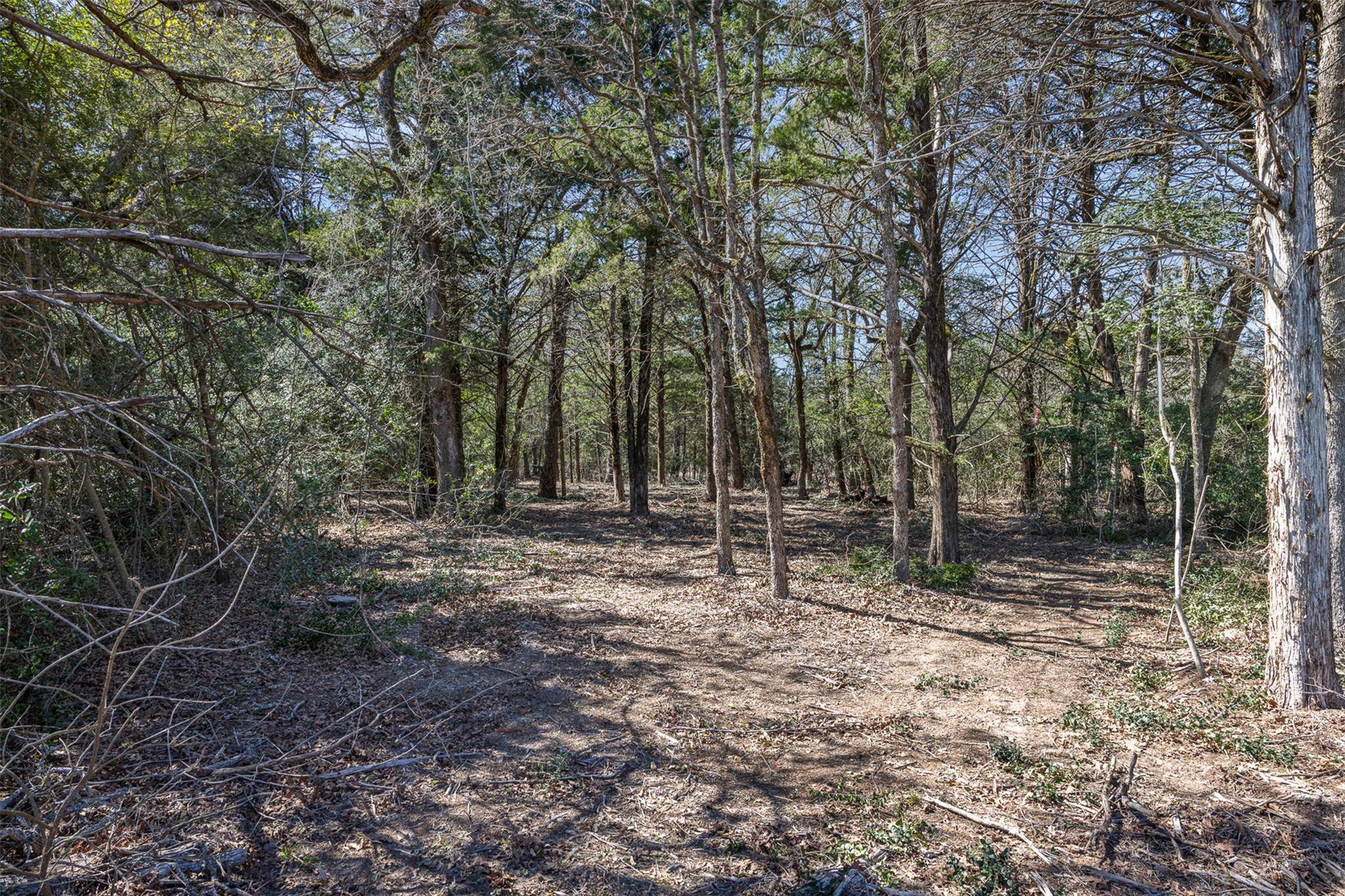 Lot 2 (4.81 Acres) Pauline LN, Caldwell, TX 77836