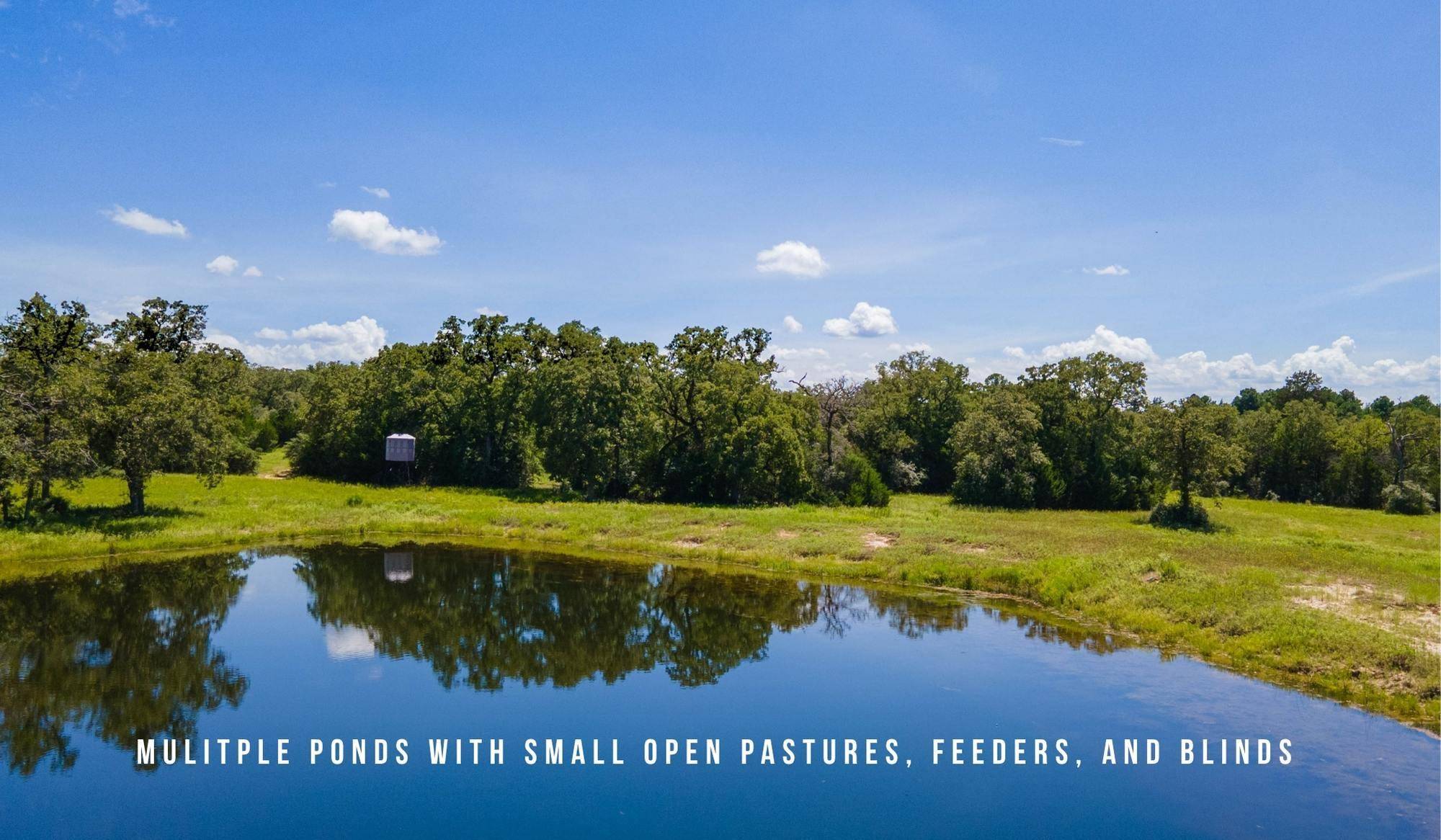 TBD County Road 405 (+/- 839 acres), Lexington, TX 78947