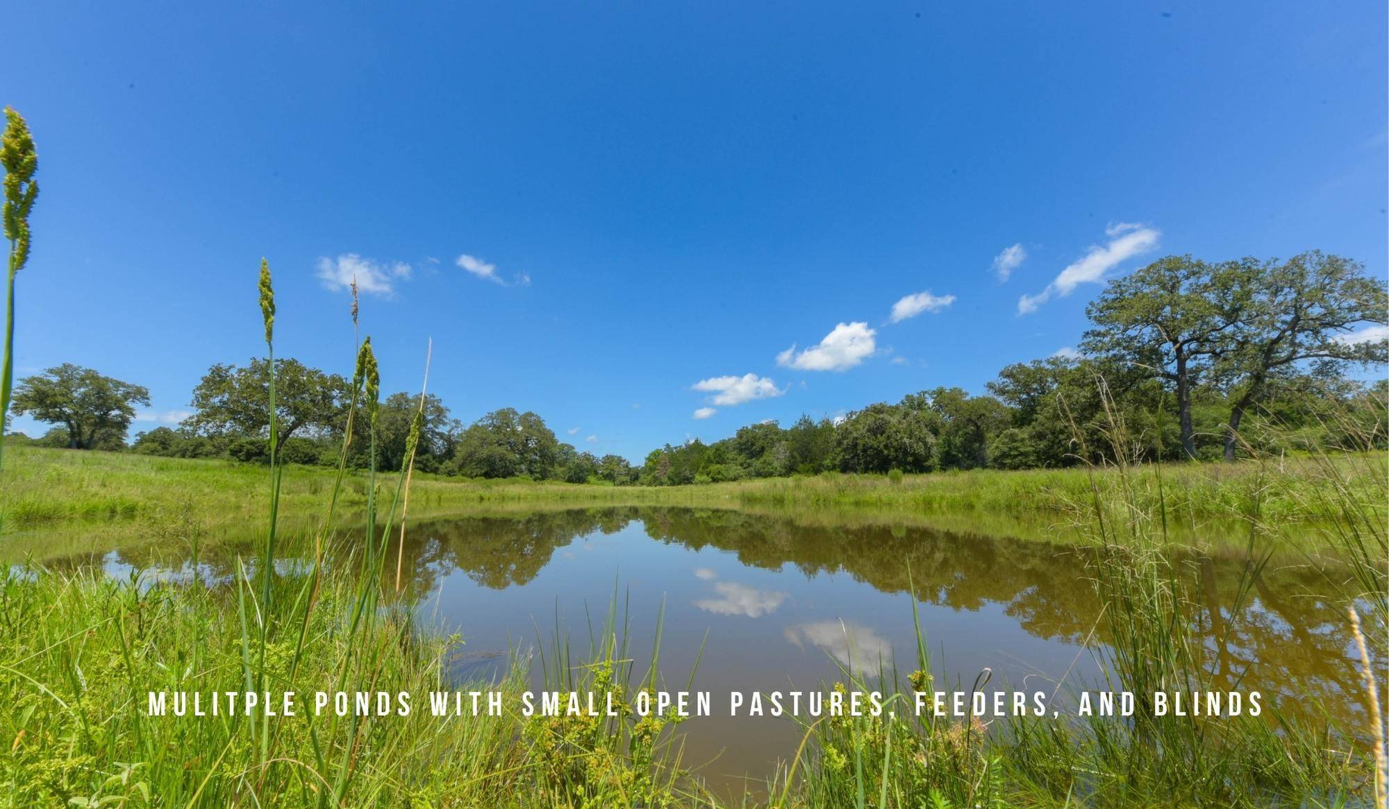 TBD County Road 405 (+/- 839 acres), Lexington, TX 78947