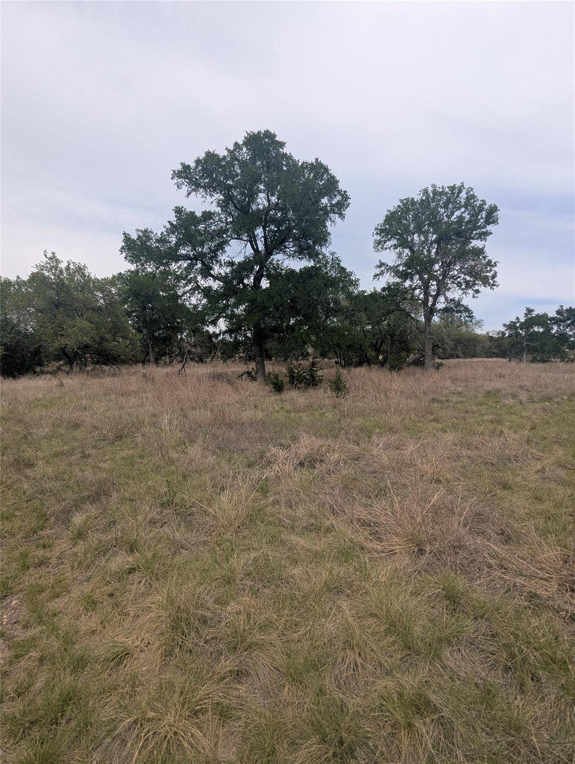 Lot 3 Bell Springs RD, Dripping Springs, TX 78620