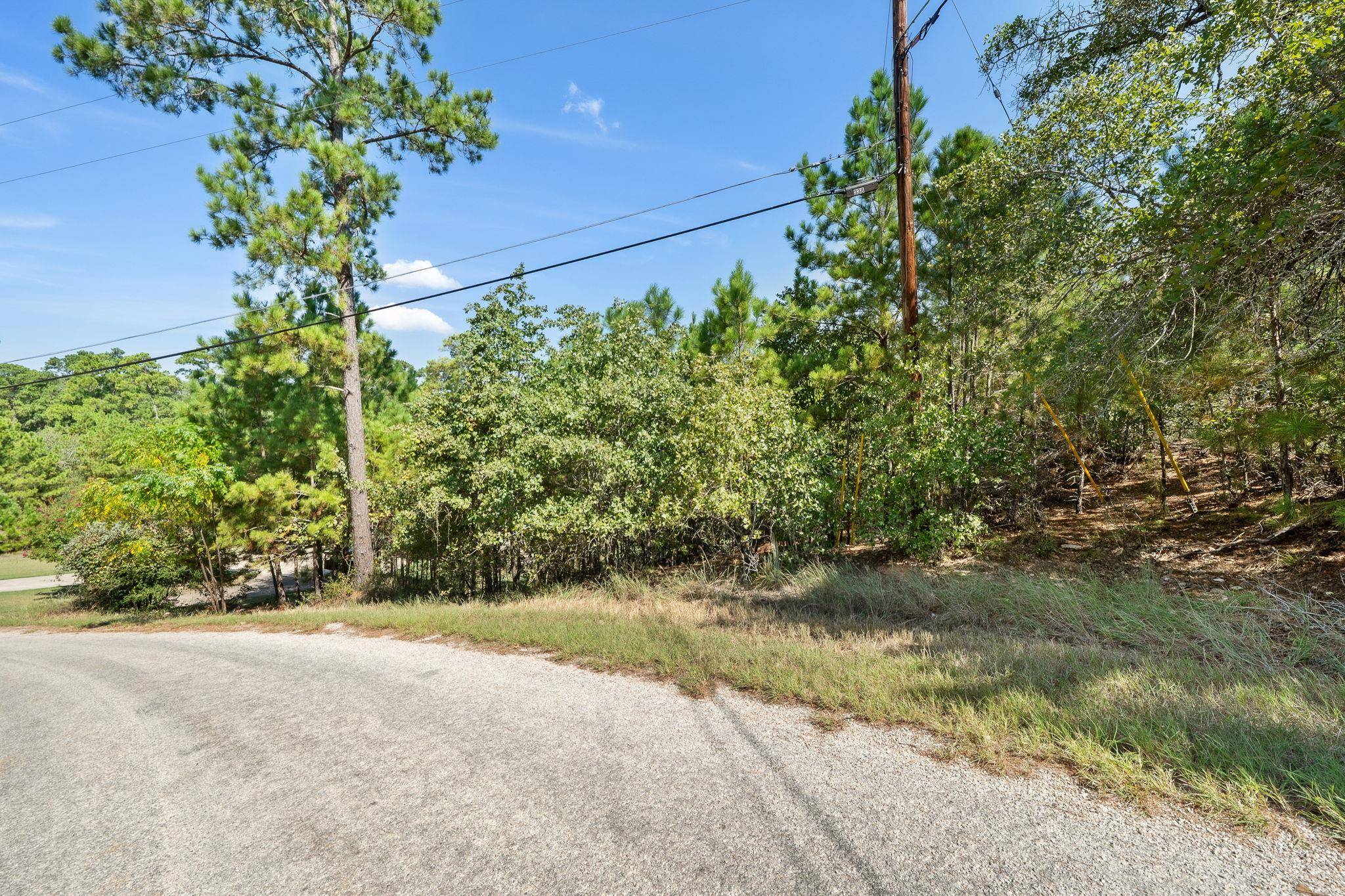 TBD 847 Mamalu DR, Bastrop, TX 78602
