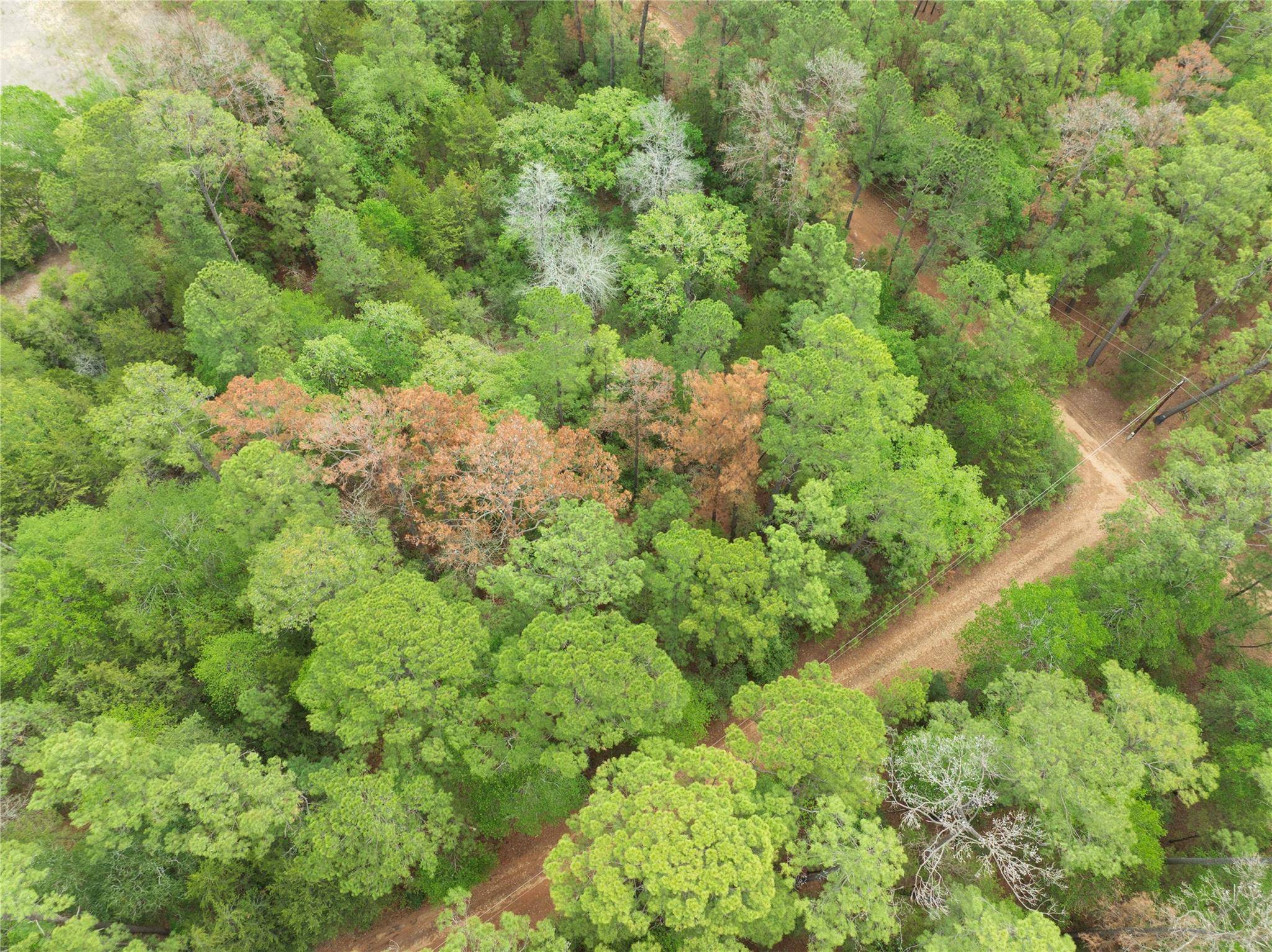 TBD Red Fox RD, La Grange, TX 78945