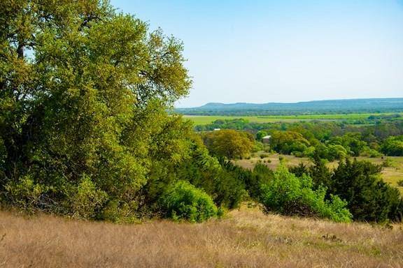 203 Rheingold School RD, Fredericksburg, TX 78624