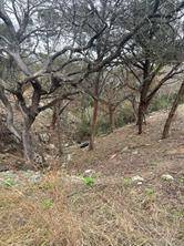 3705 High Line DR, Lago Vista, TX 78645