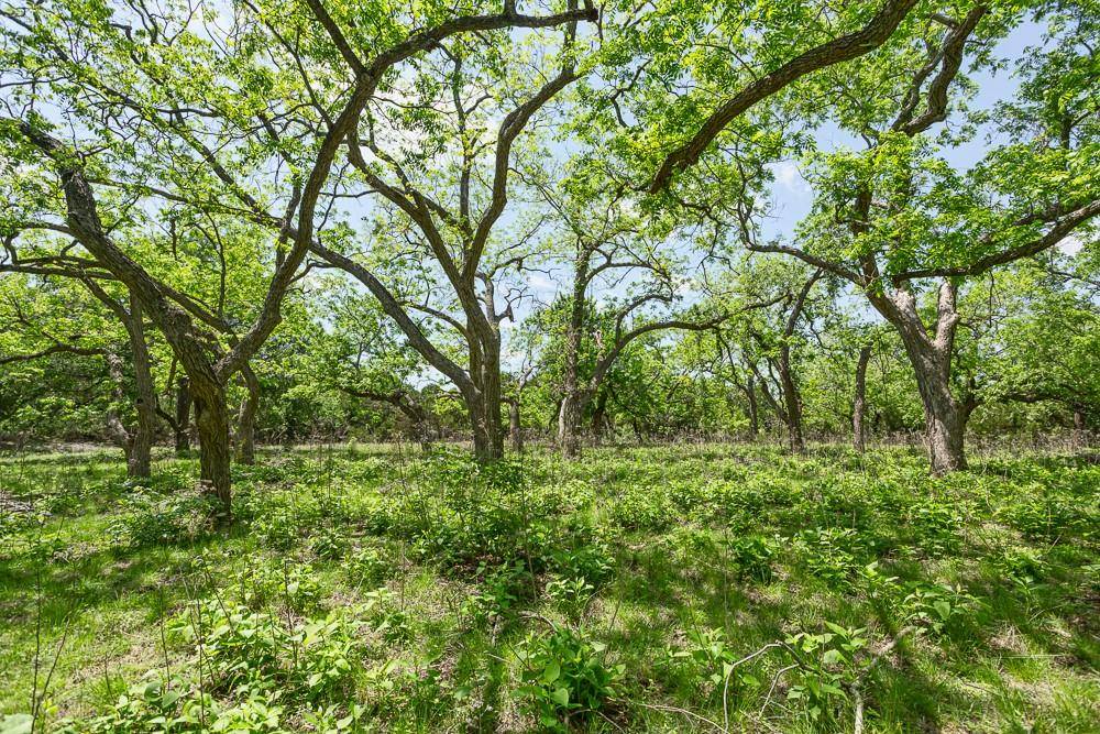 127 El Nopal DR, Blanco, TX 78606