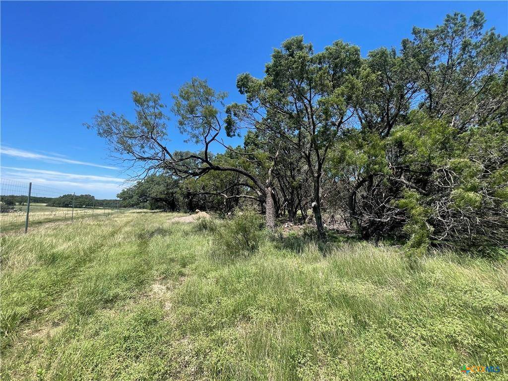 Lot 65 Estate View Circle, Lampasas, TX 76550
