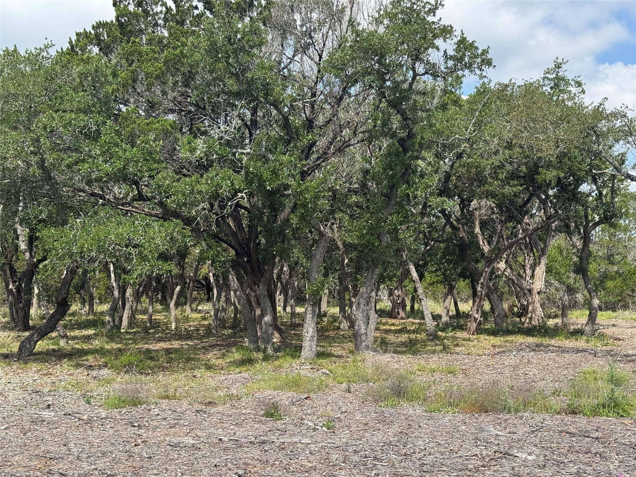 Lot 37 Riparian Elm RD, Bertram, TX 78605