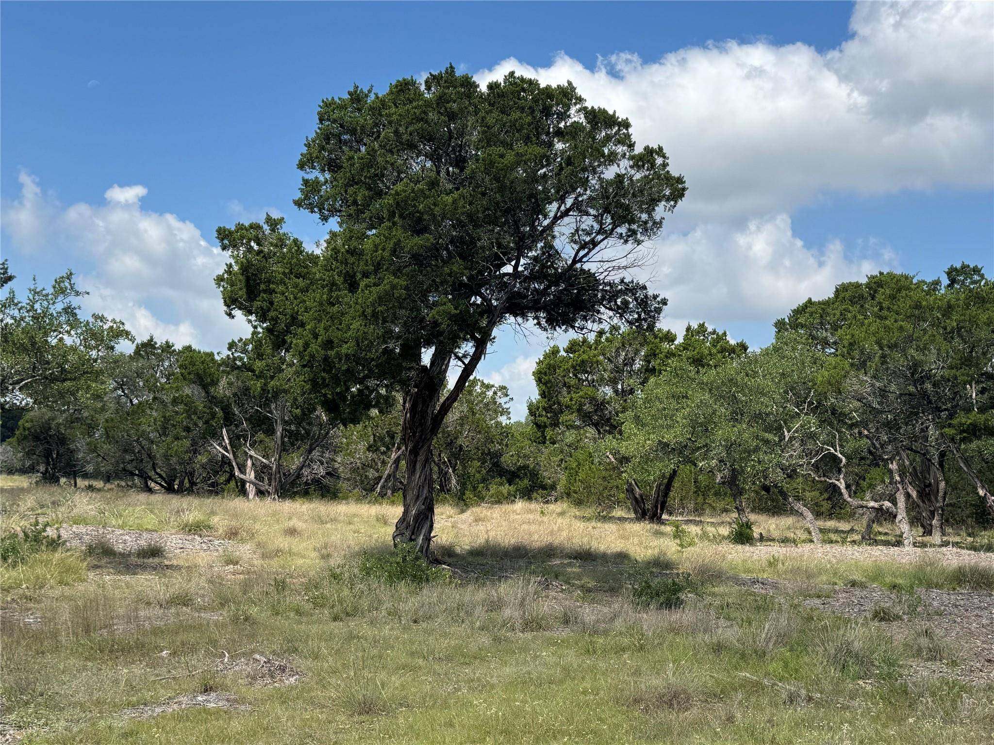 Lot 37 Riparian Elm RD, Bertram, TX 78605