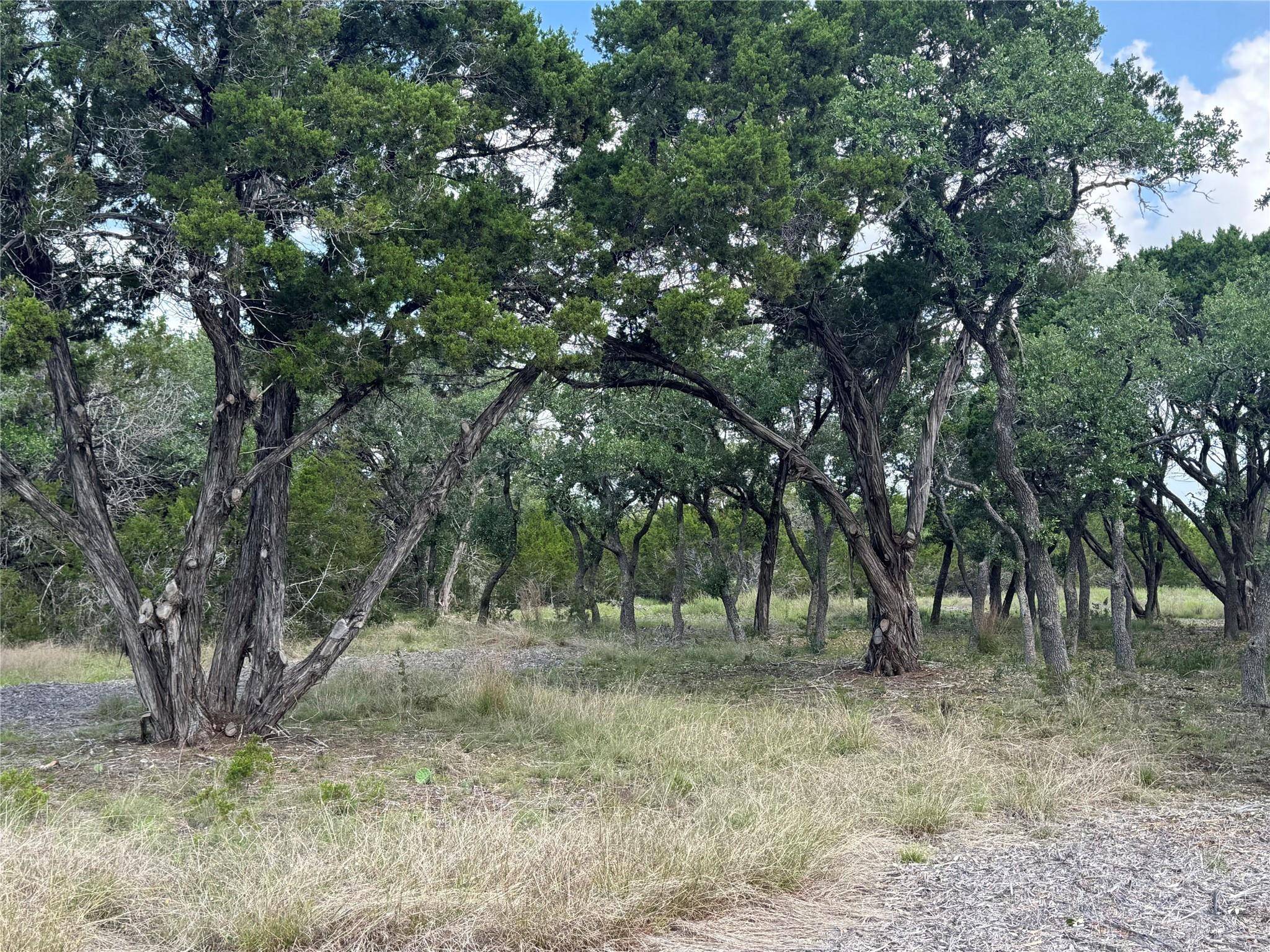 Lot 37 Riparian Elm RD, Bertram, TX 78605