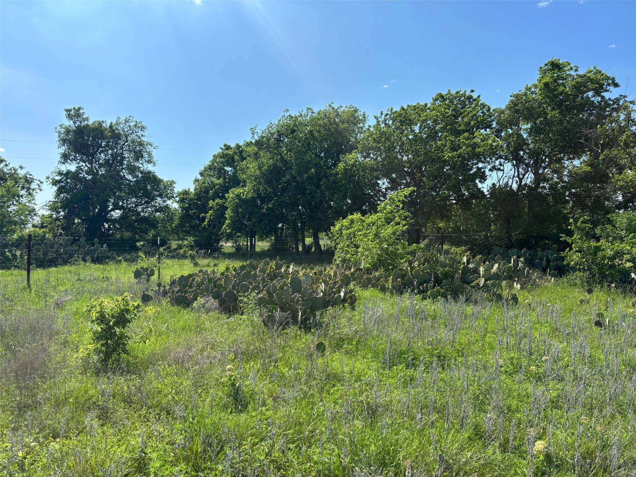 Lot 16 Titus LN, Bertram, TX 78605