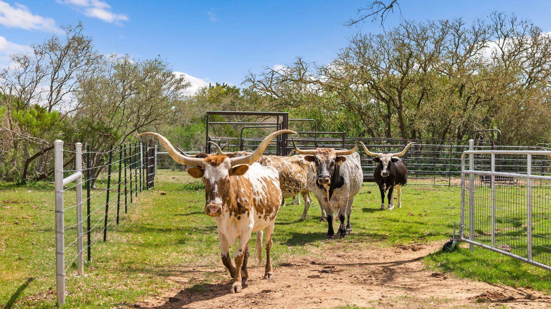 8101 FM 3237, Driftwood, TX 78619