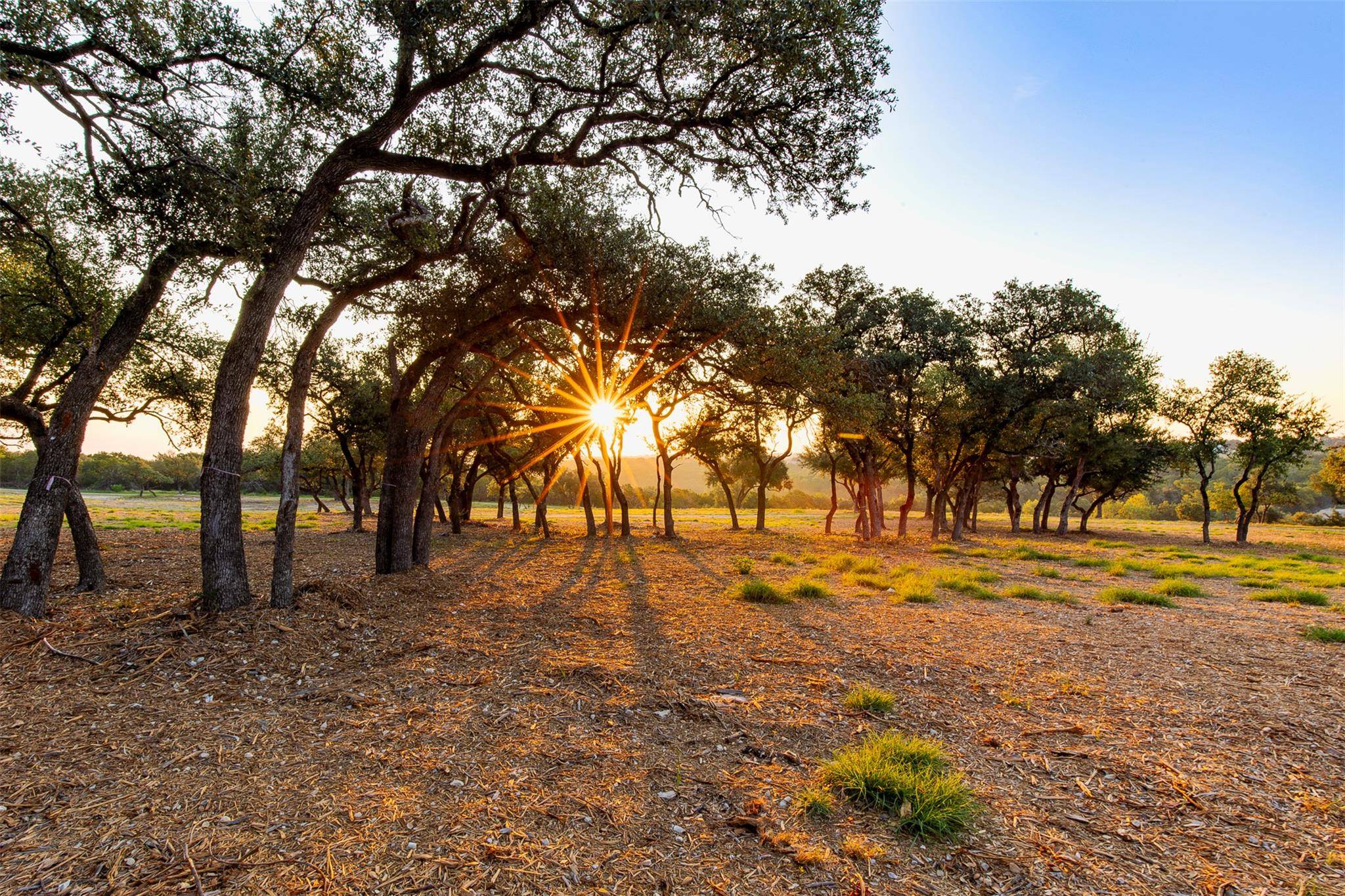 20091 Westlake PKWY #Lot #1, Georgetown, TX 78628