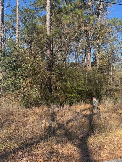 Address not disclosed, Montgomery, TX 77356