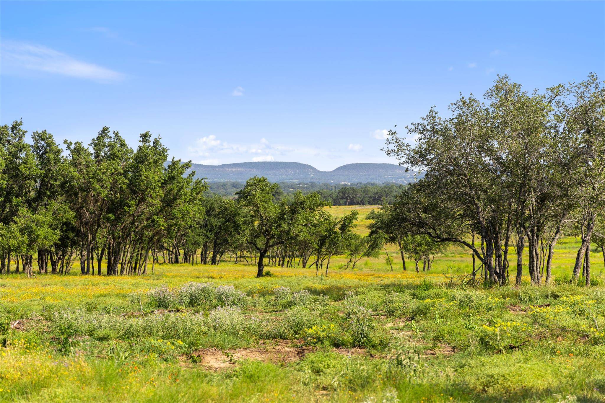 1318 Klett Ranch RD, Johnson City, TX 78636