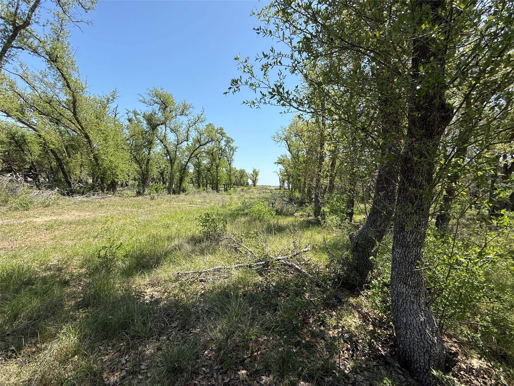 Lot 106 E Flying Owl DR, Johnson City, TX 78636