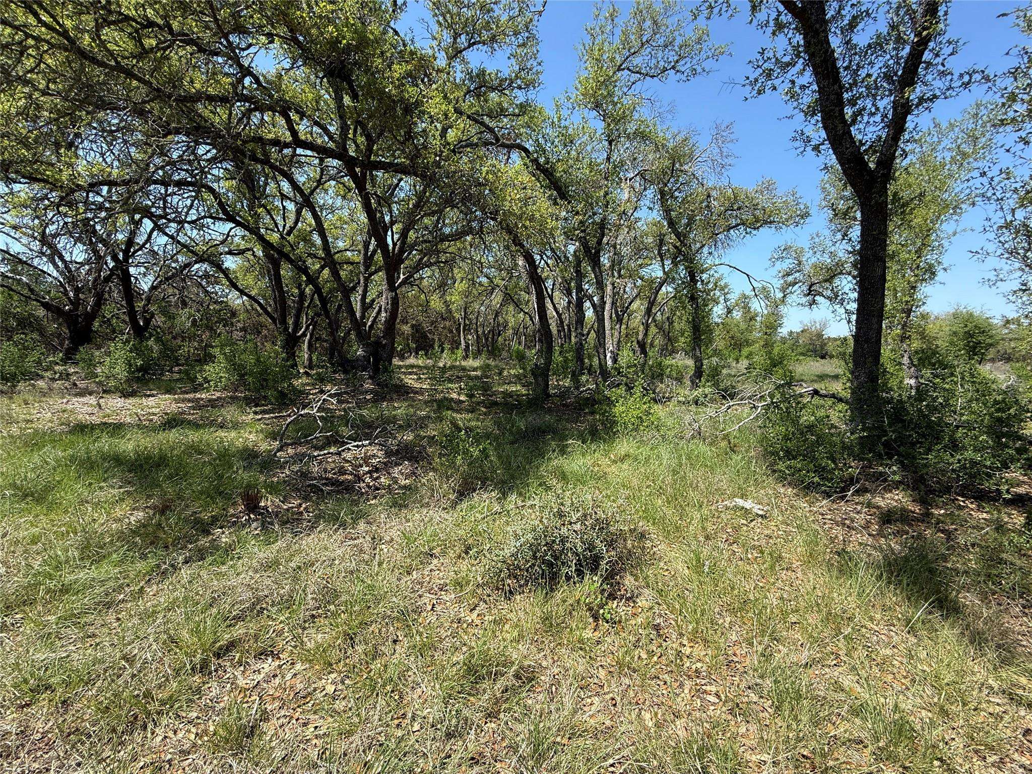 Lot 106 E Flying Owl DR, Johnson City, TX 78636