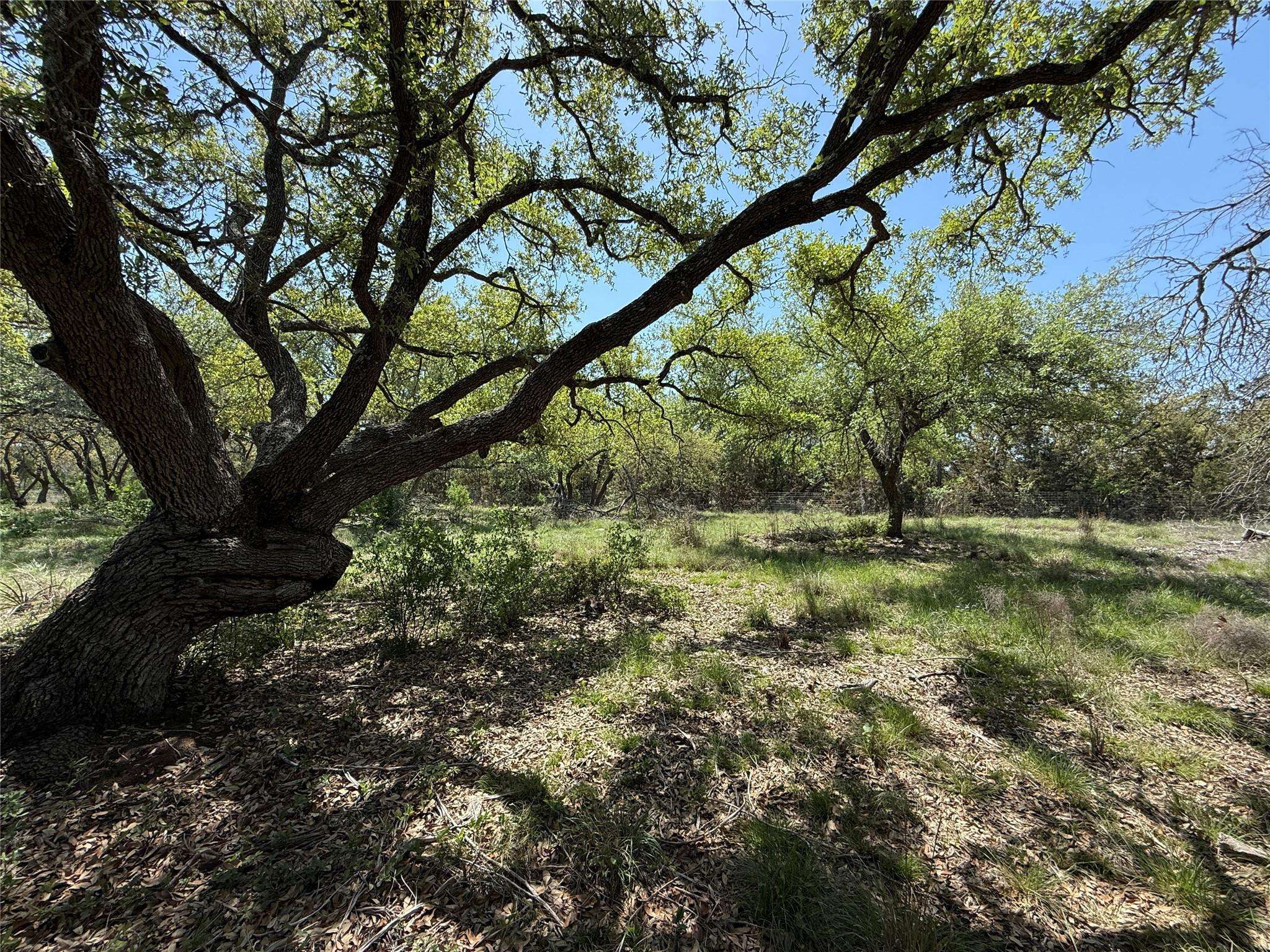 Lot 106 E Flying Owl DR, Johnson City, TX 78636