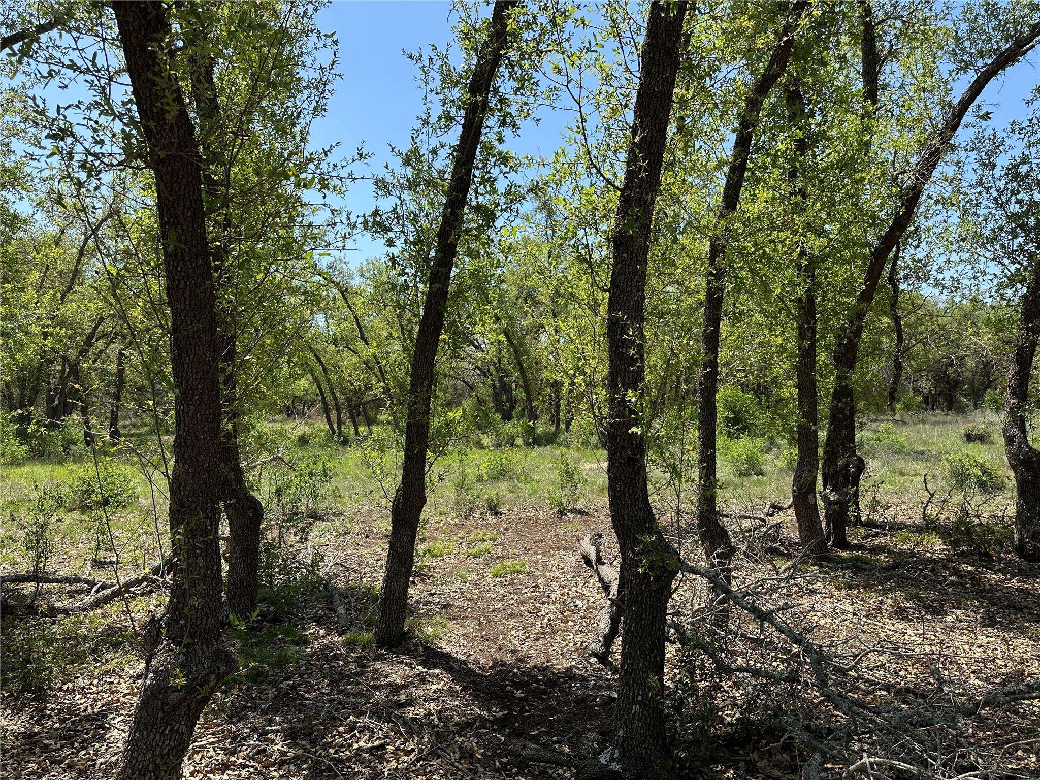 Lot 106 E Flying Owl DR, Johnson City, TX 78636