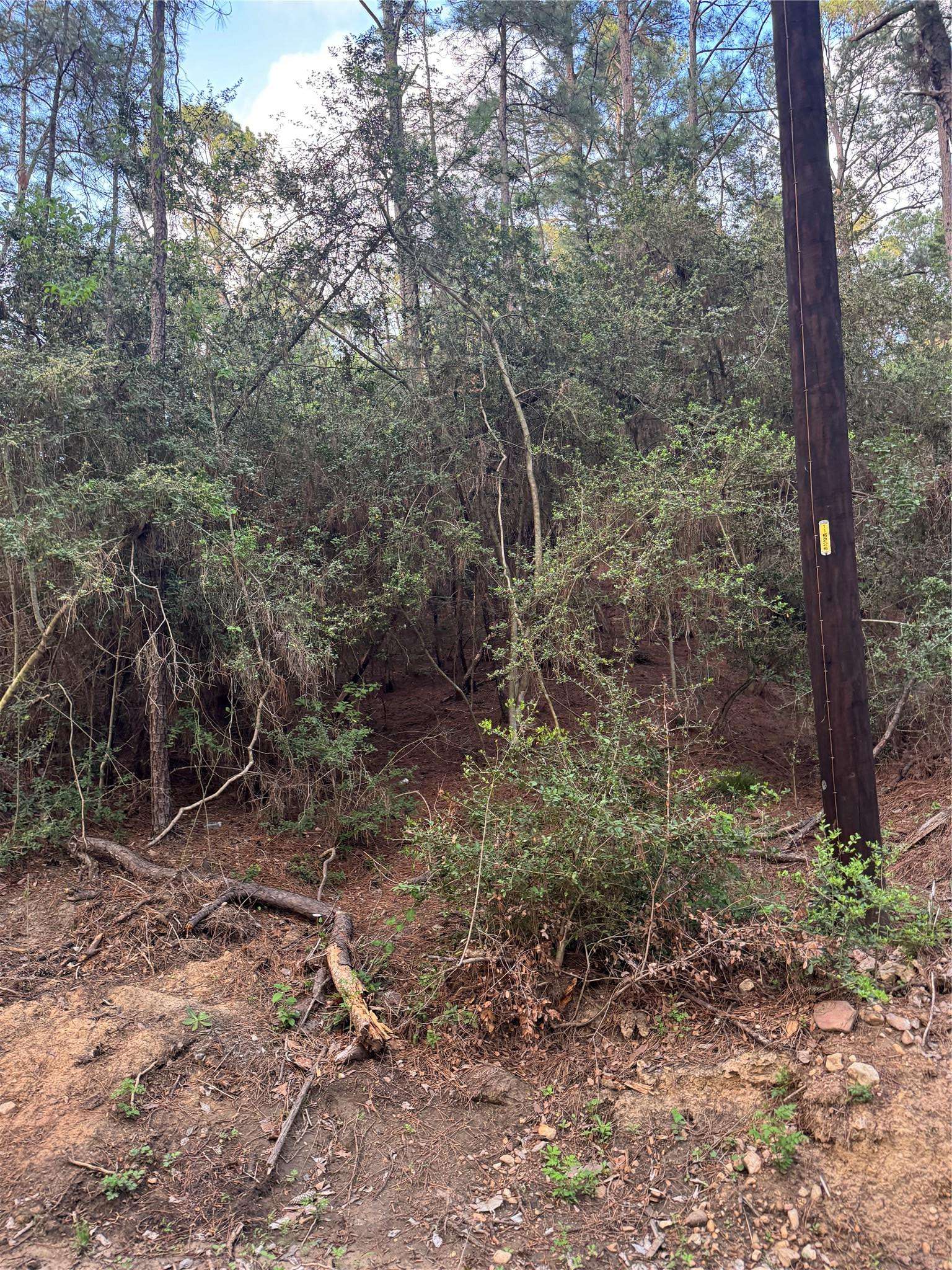 Lots 158 and 159 Hekili DR, Bastrop, TX 78602