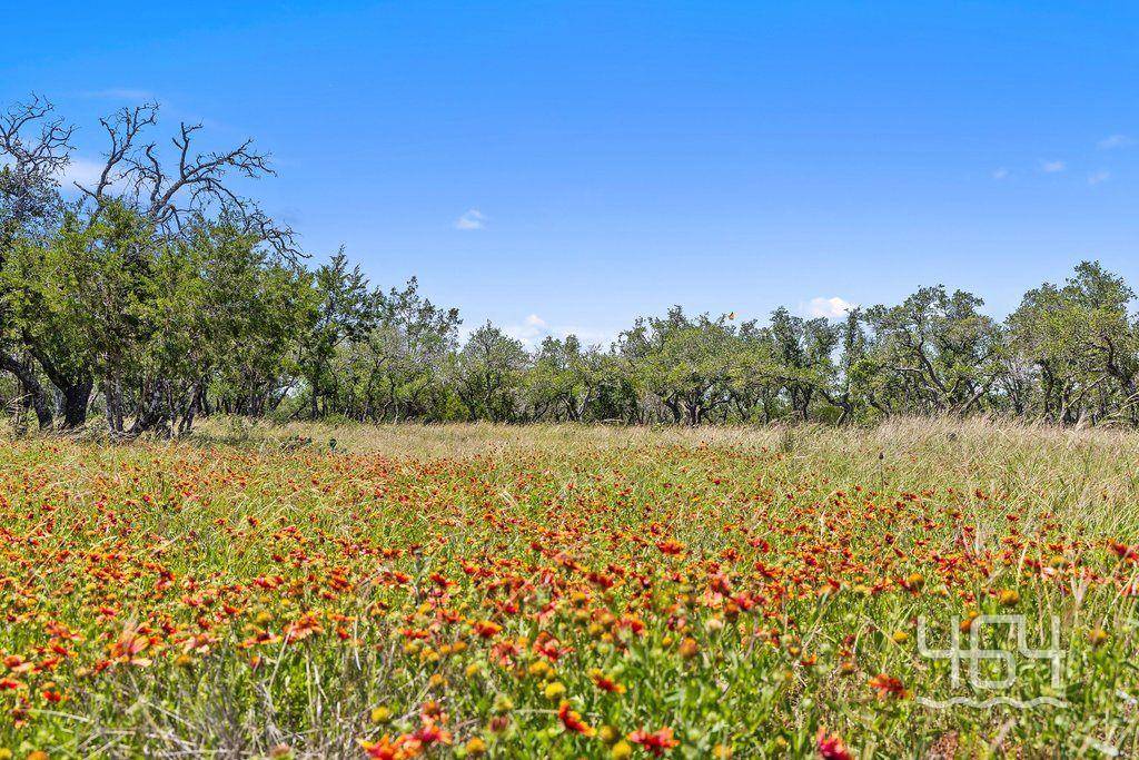 59 Balcones DR, Johnson City, TX 78636