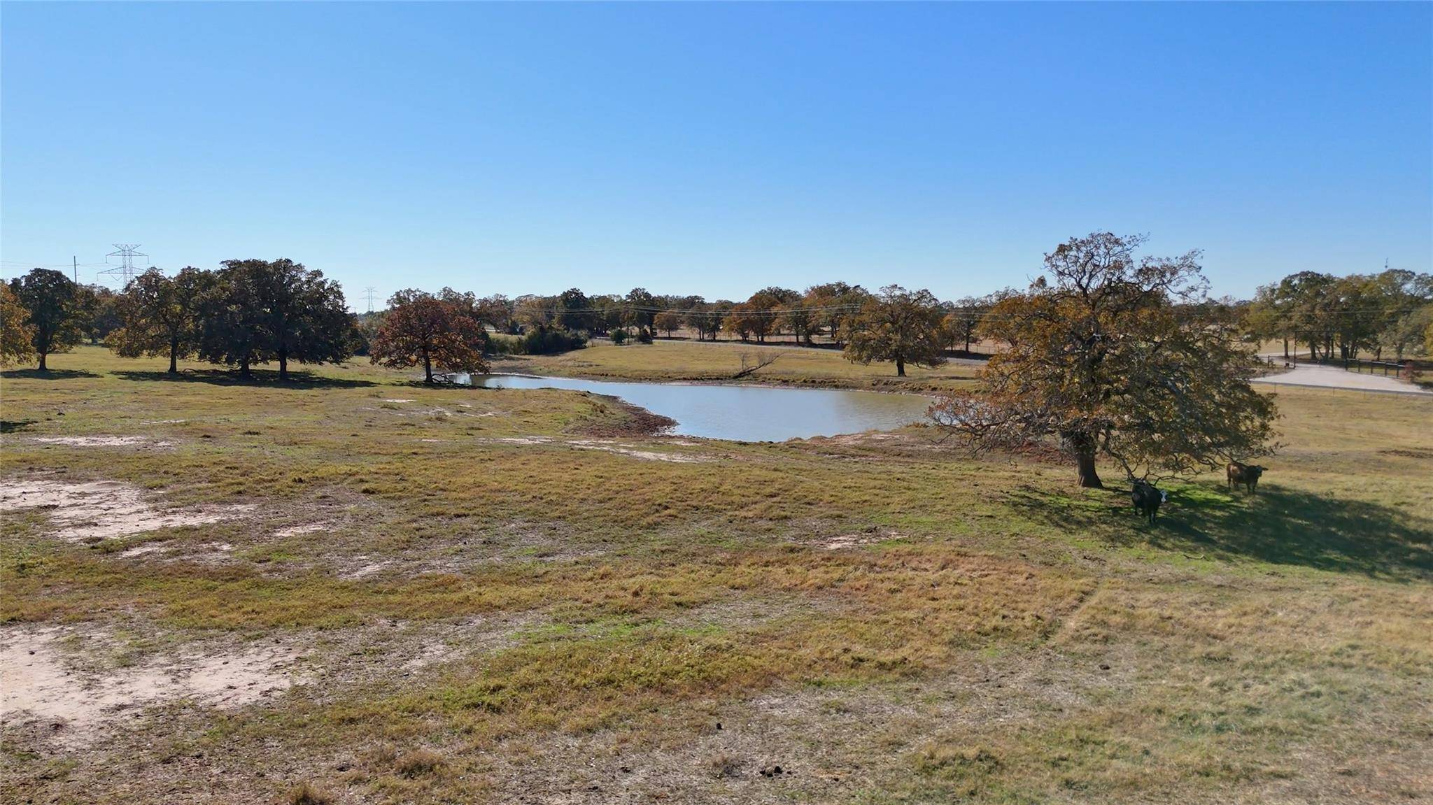 TBD CR 481 Tract 2, Thrall, TX 76578