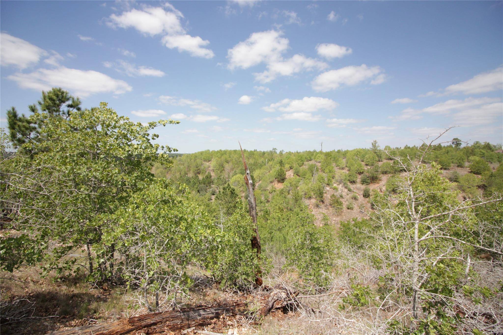 TBD River Forest DR, Bastrop, TX 78602