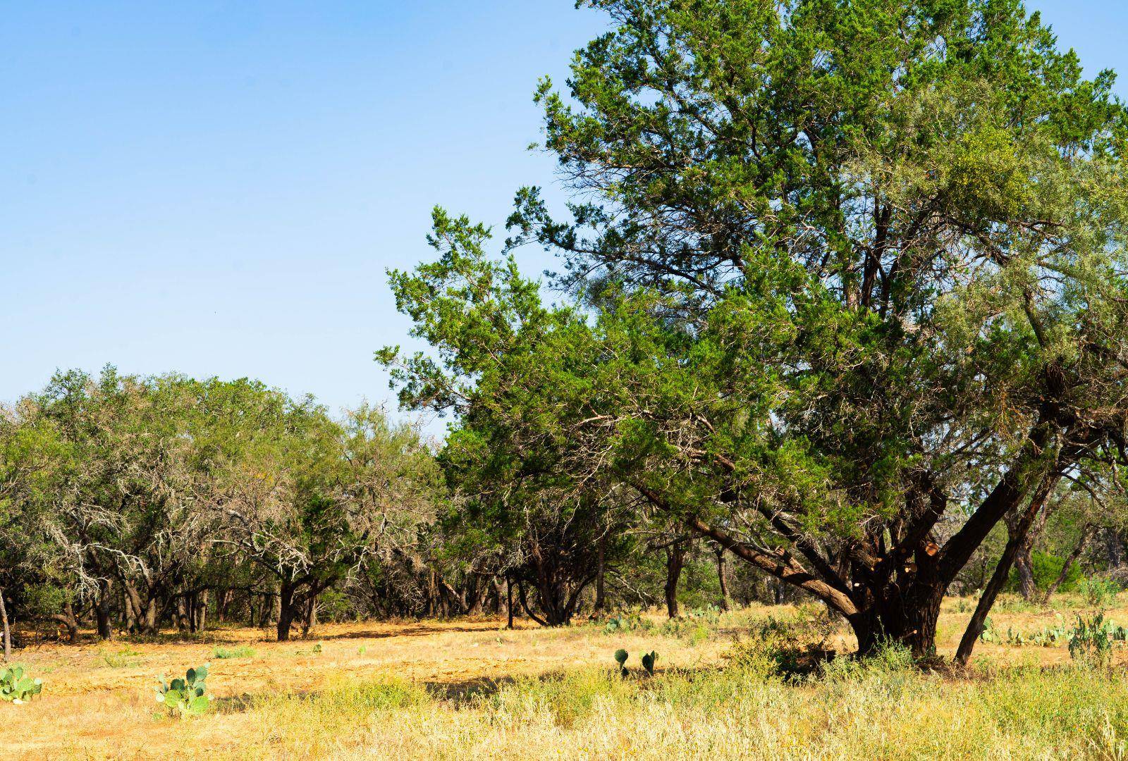 0000 Old Ferry RD, Spicewood, TX 78669