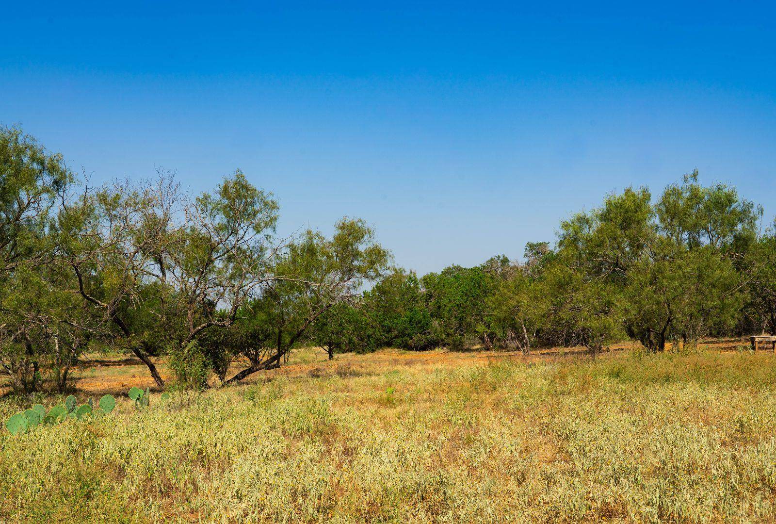 0000 Old Ferry RD, Spicewood, TX 78669