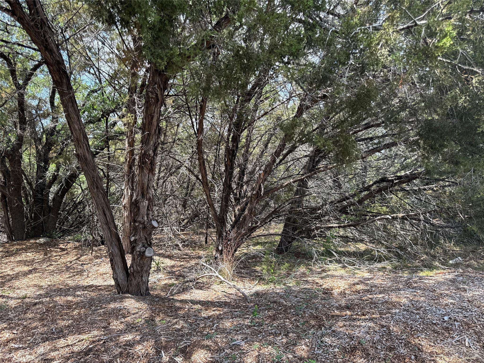 21501 Paseo De Vaca ST, Leander, TX 78645