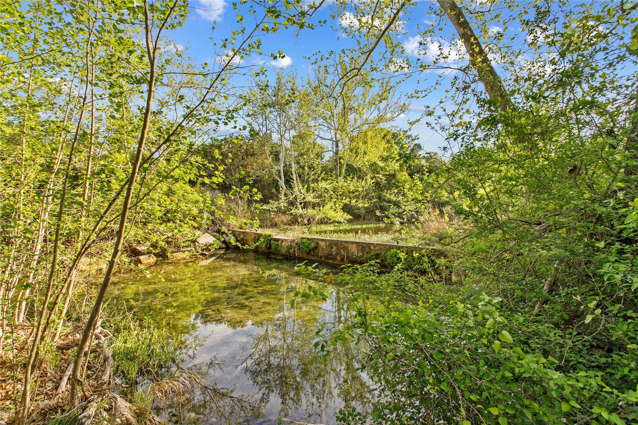 15407 A Fitzhugh PL, Dripping Springs, TX 78620