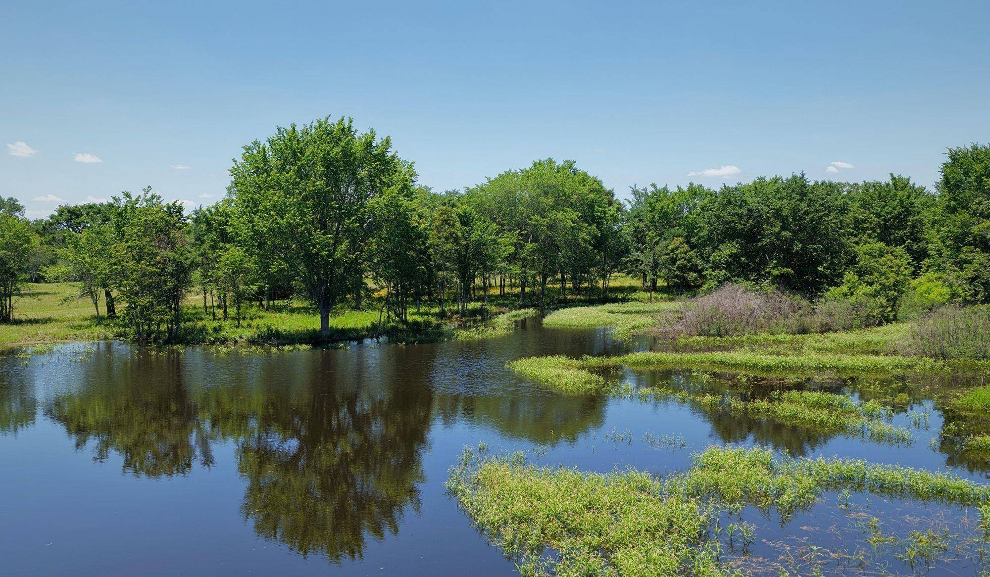 TBD County Road 132 (+/-74 acres), Caldwell, TX 77836