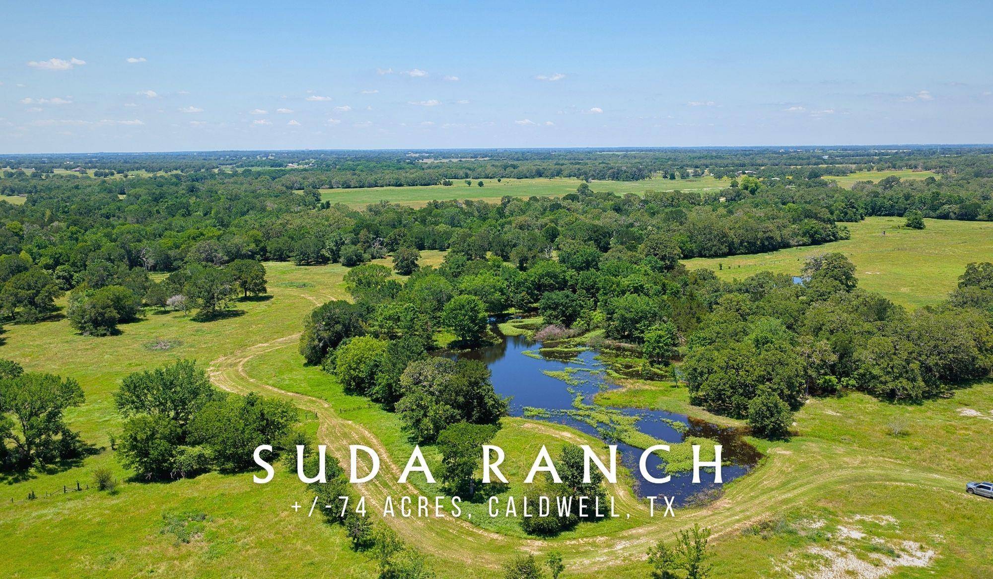 TBD County Road 132 (+/-74 acres), Caldwell, TX 77836