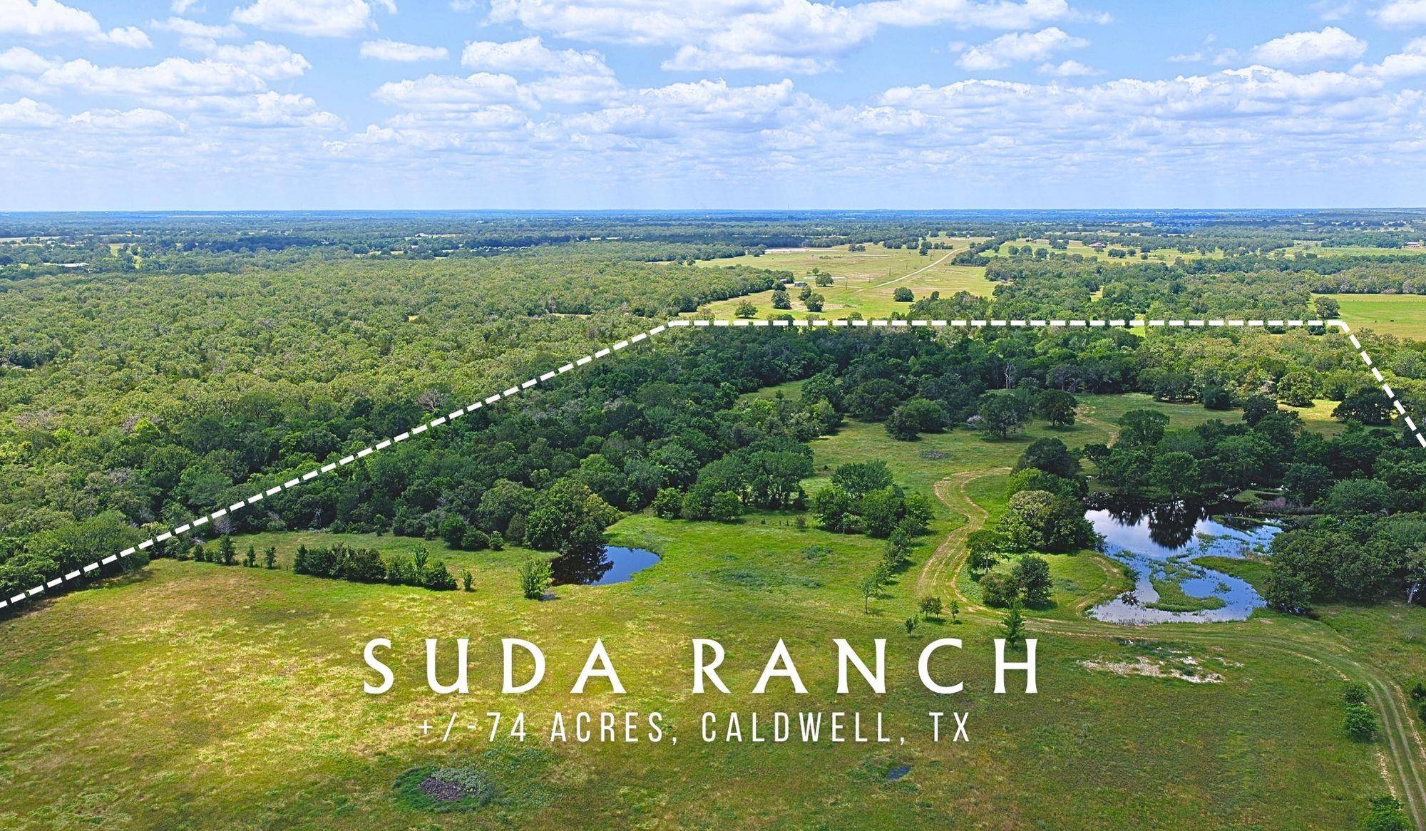 TBD County Road 132 (+/-74 acres), Caldwell, TX 77836