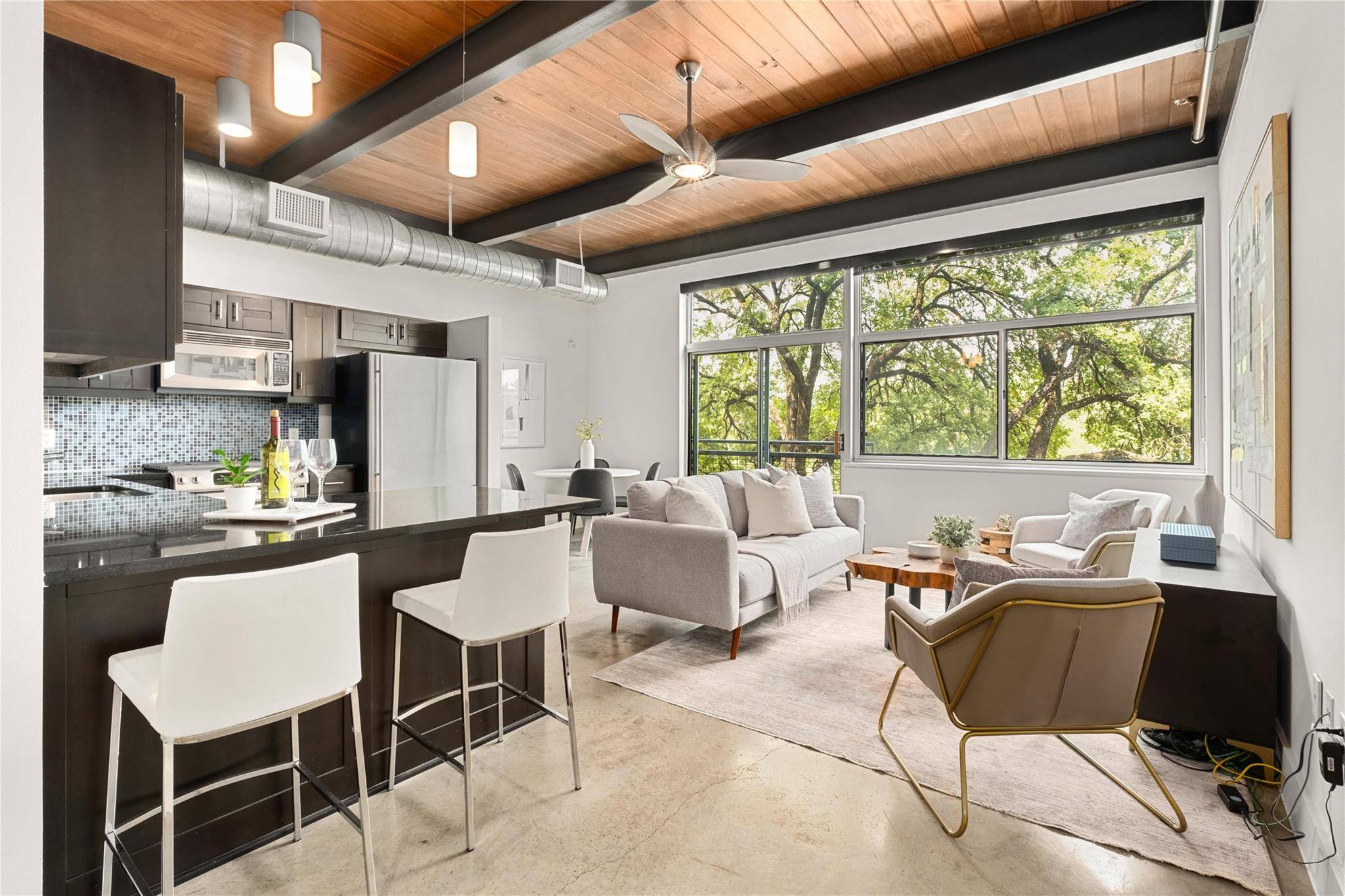 2205 N Lamar BLVD #113, Austin, TX 78705